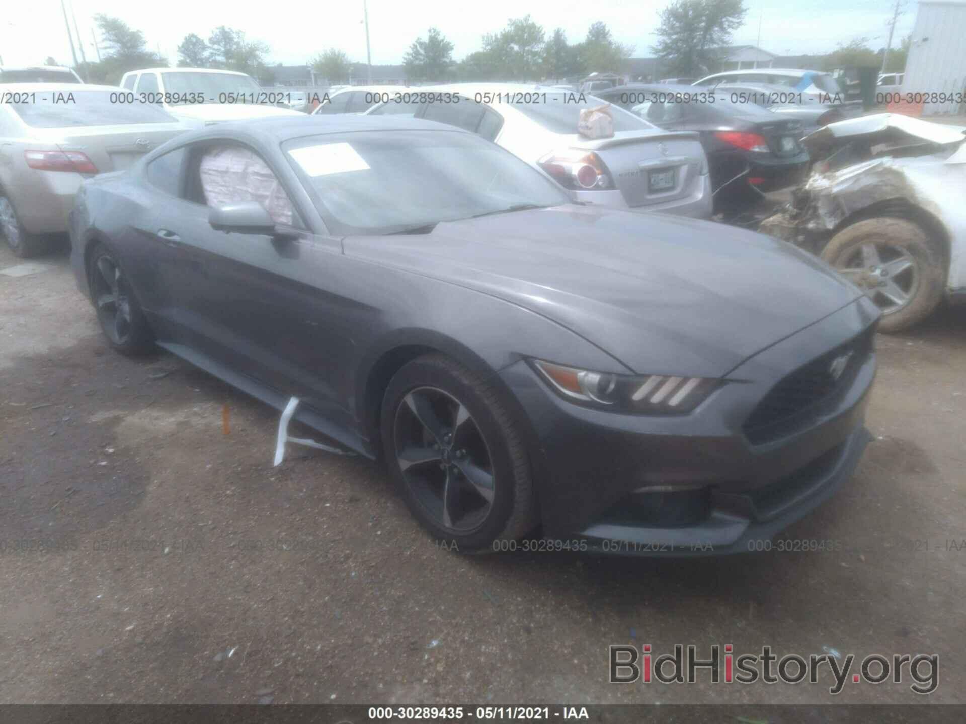 Photo 1FA6P8TH1F5301075 - FORD MUSTANG 2015