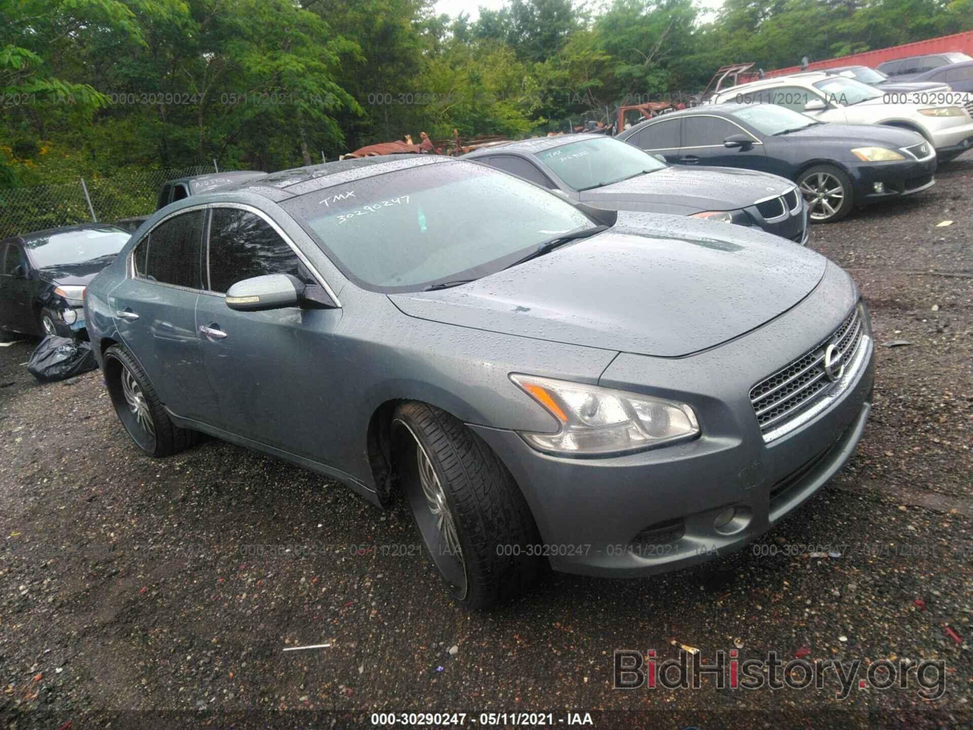 Photo 1N4AA51E99C826713 - NISSAN MAXIMA 2009