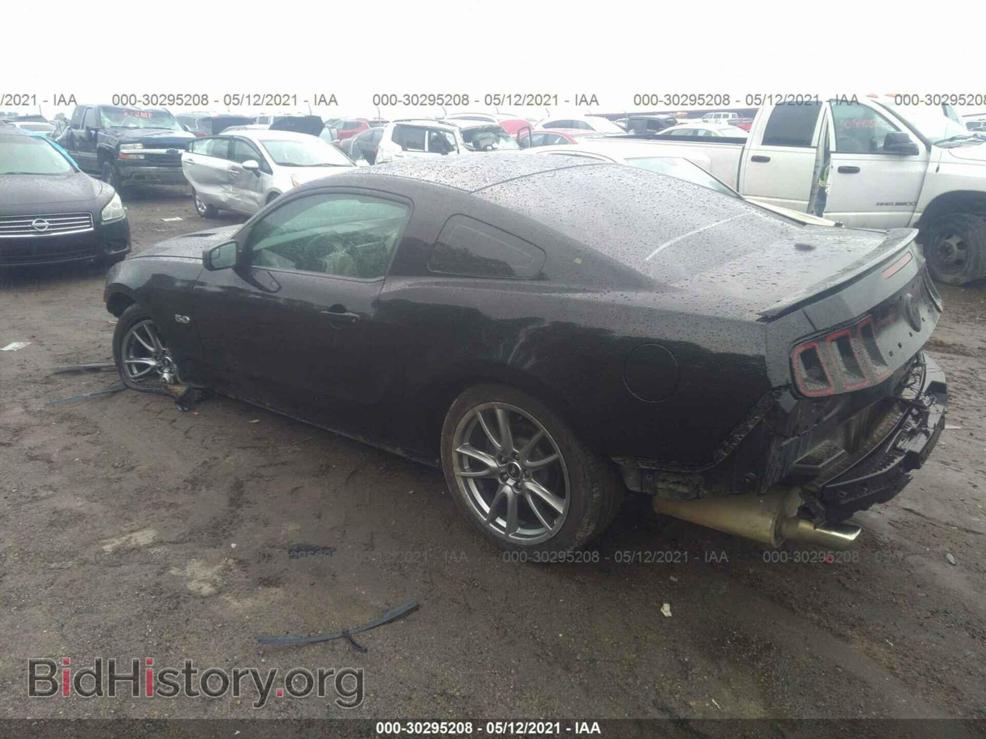 2013 FORD MUSTANG - VIN: 1ZVBP8CF7D5221197 - Фото 3