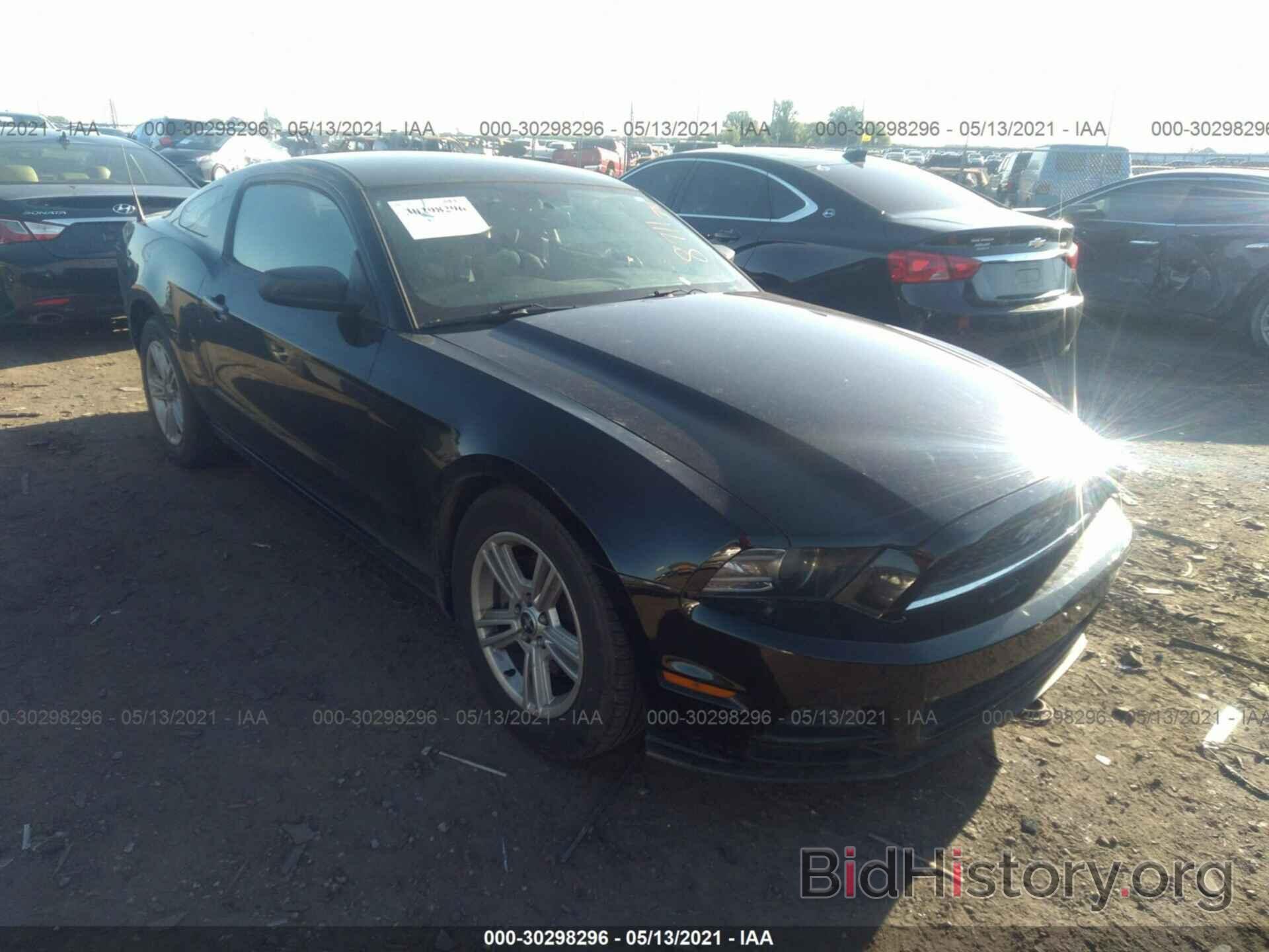 Photo 1ZVBP8AM2E5298711 - FORD MUSTANG 2014
