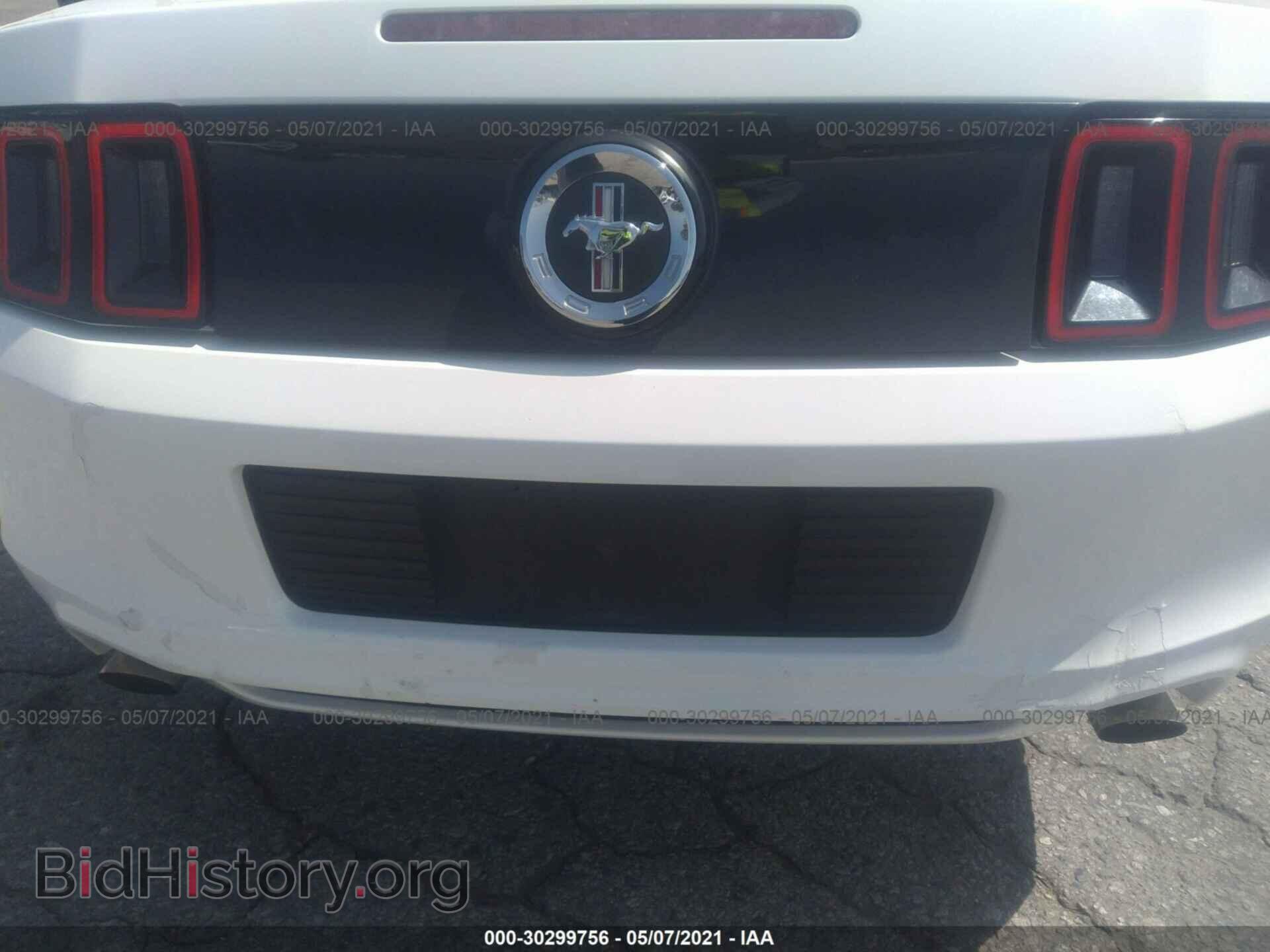 2013 FORD MUSTANG - VIN: 1ZVBP8EM9D5241978 - Фото 6