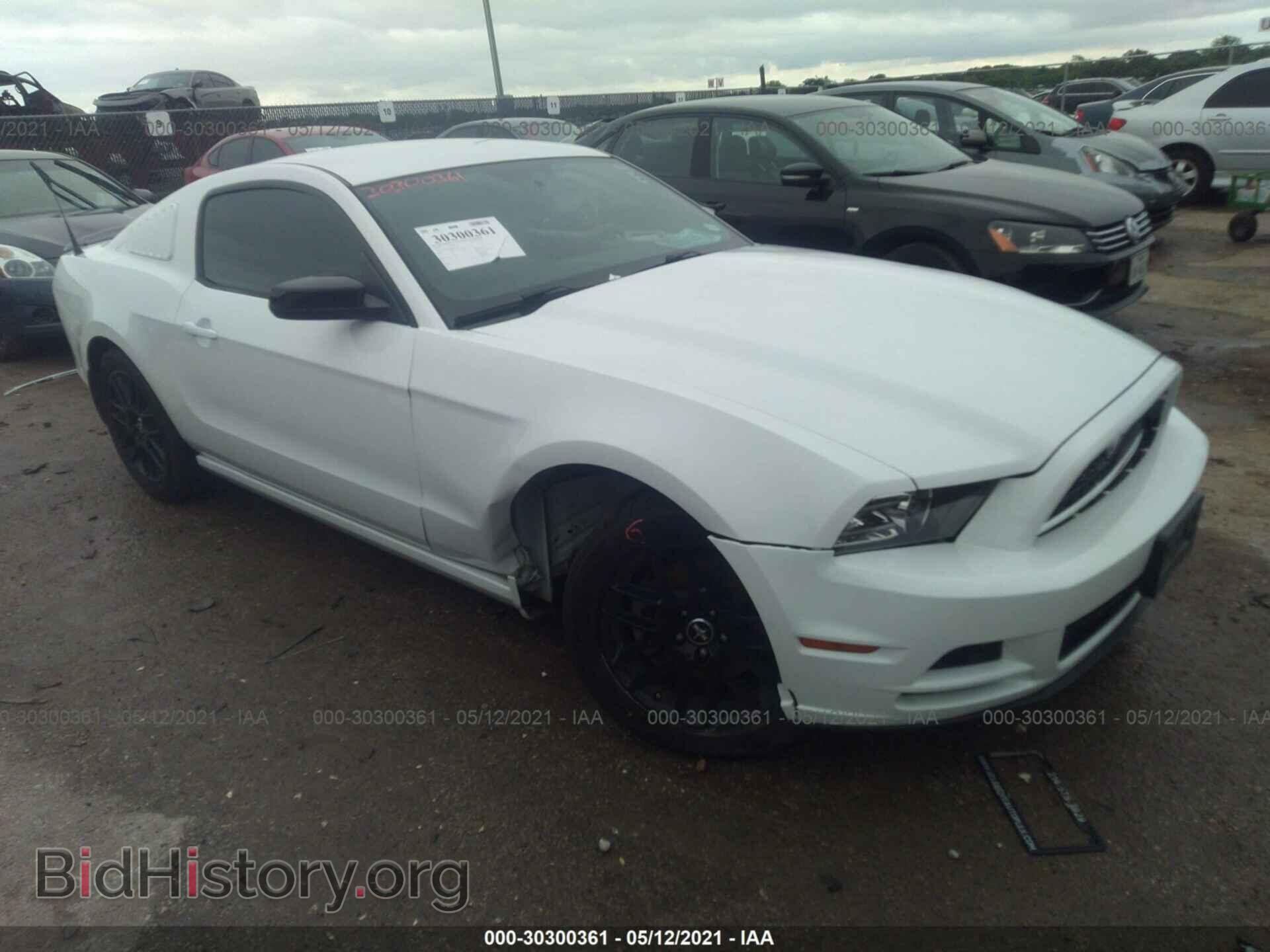 Фотография 1ZVBP8AM4E5277987 - FORD MUSTANG 2014