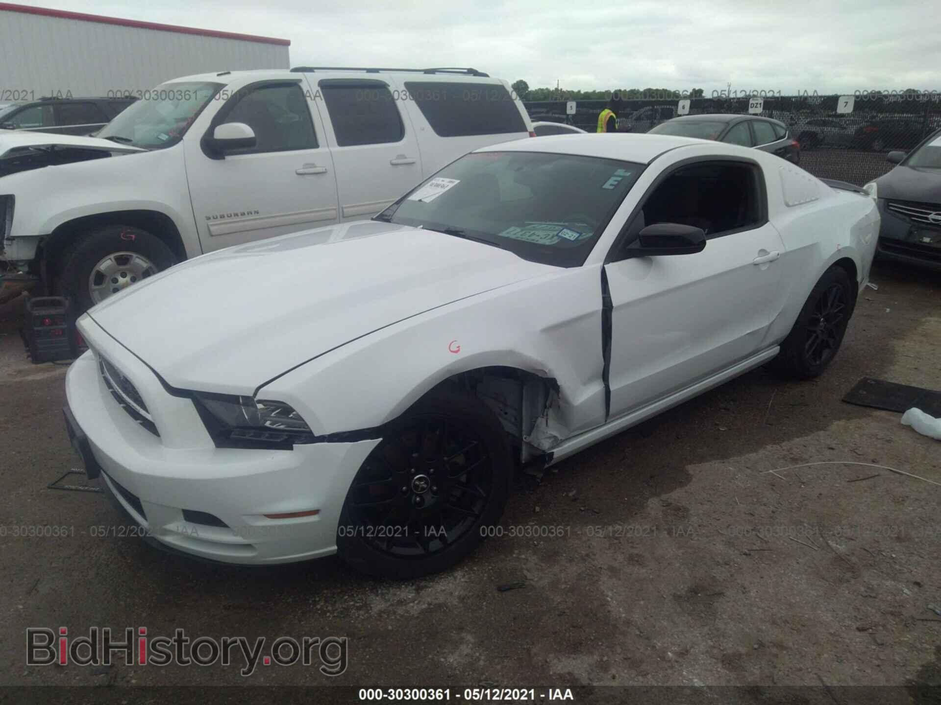 2014 FORD MUSTANG - VIN: 1ZVBP8AM4E5277987 - Фото 2