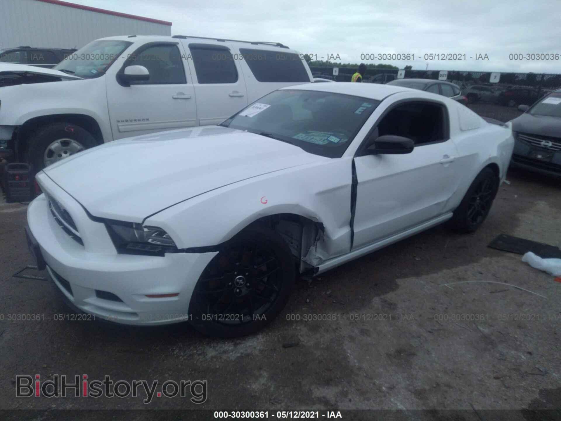 2014 FORD MUSTANG - VIN: 1ZVBP8AM4E5277987 - Фото 6