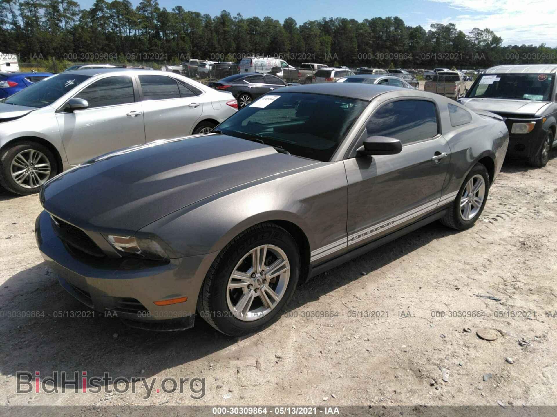 2011 FORD MUSTANG - VIN: 1ZVBP8AM4B5140981 - Фото 2