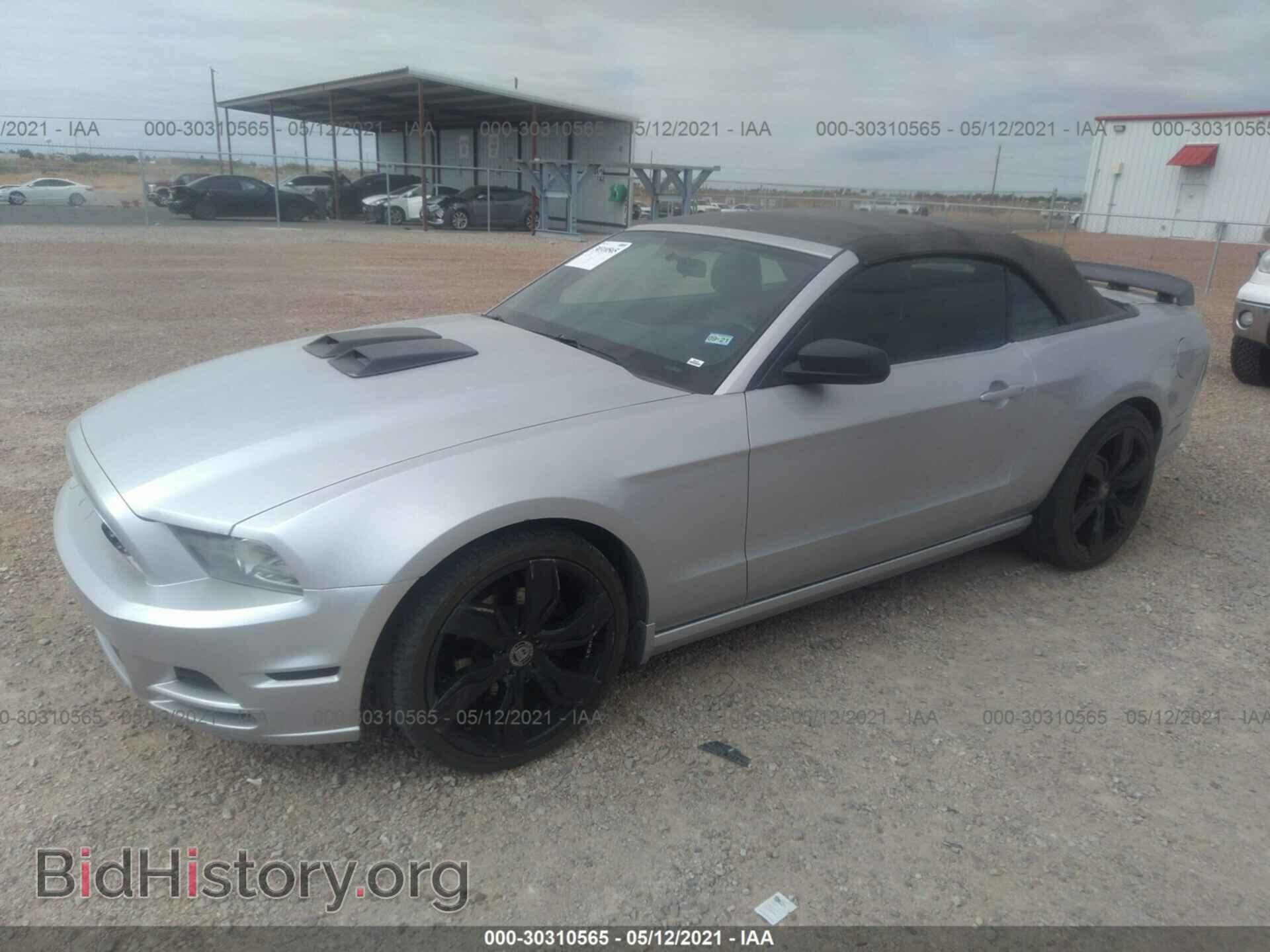 2013 FORD MUSTANG - VIN: 1ZVBP8EM3D5222018 - Фото 2