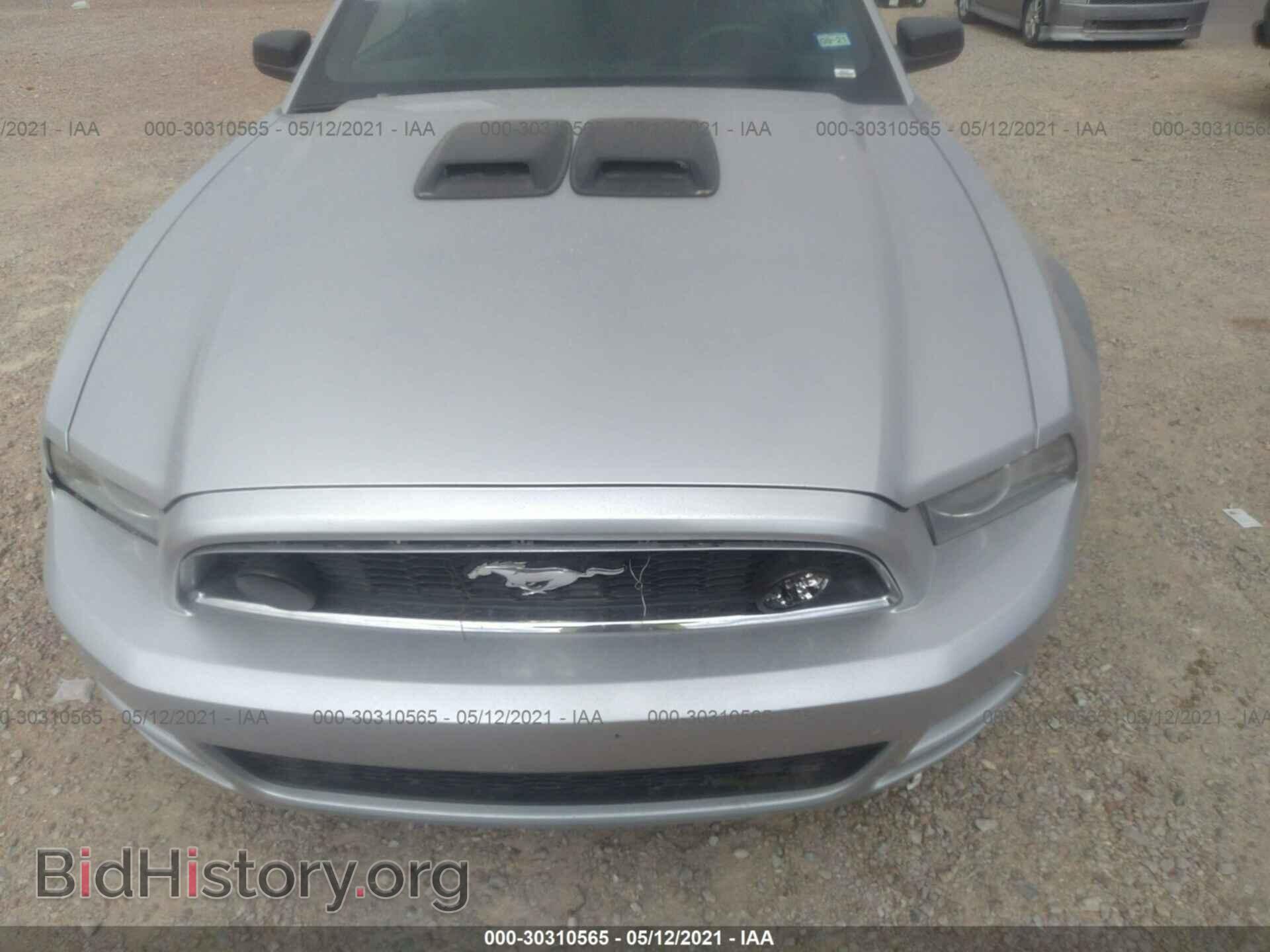 2013 FORD MUSTANG - VIN: 1ZVBP8EM3D5222018 - Фото 6