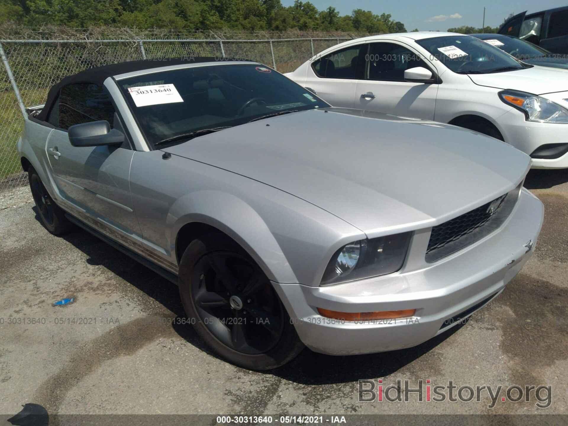 Photo 1ZVFT84N375352005 - FORD MUSTANG 2007