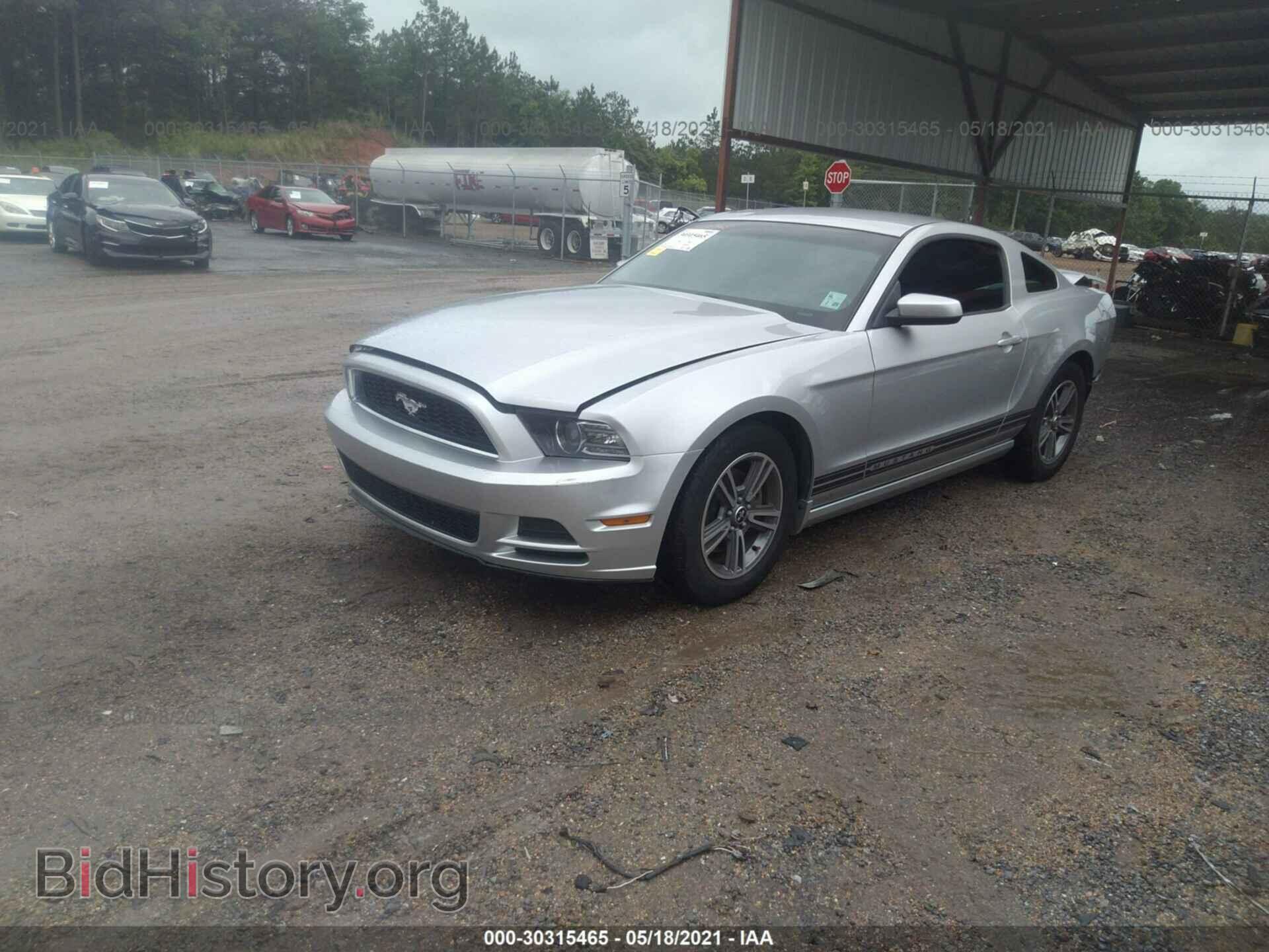 2013 FORD MUSTANG - VIN: 1ZVBP8AM7D5204255 - Фото 2