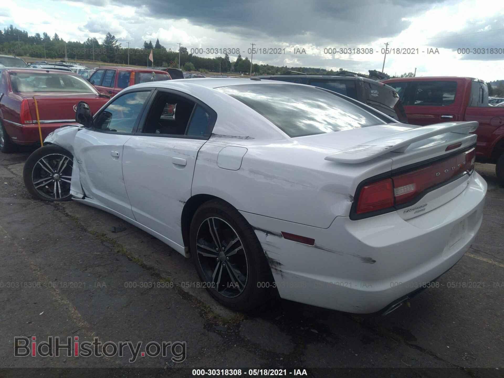 2014 DODGE CHARGER - VIN: 2C3CDXDT5EH372133 - Фото 3