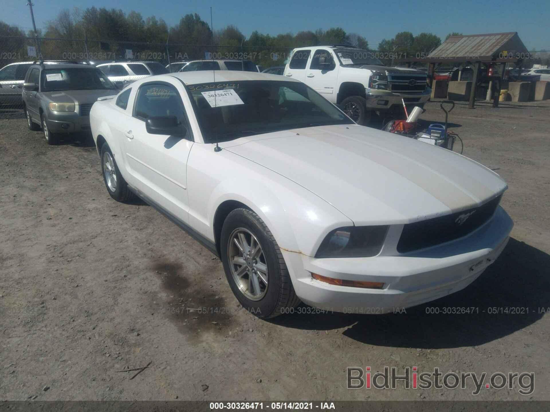 Photo 1ZVHT80N185207612 - FORD MUSTANG 2008