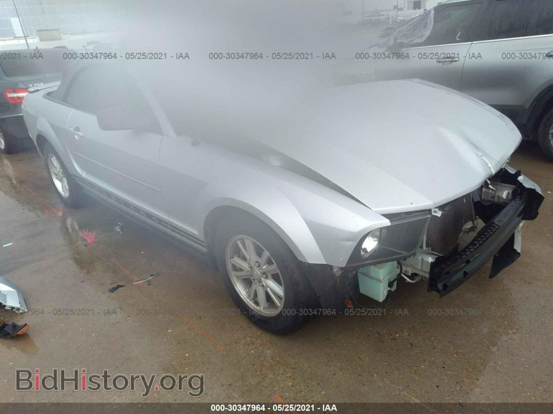 Фотография 1ZVHT84N385143373 - FORD MUSTANG 2008