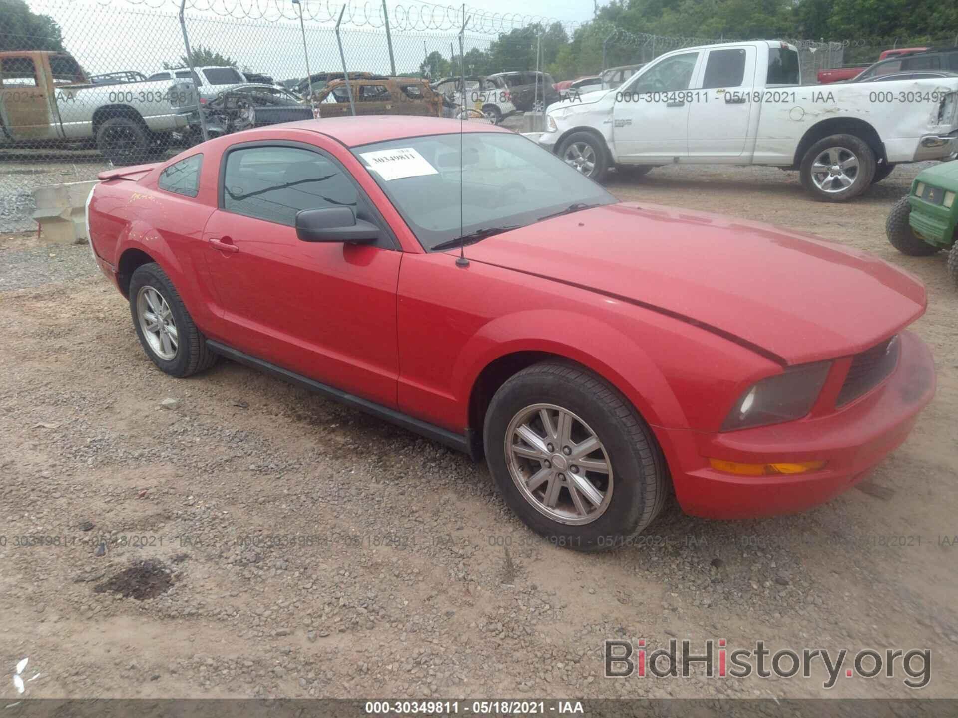 Photo 1ZVHT80N585187042 - FORD MUSTANG 2008