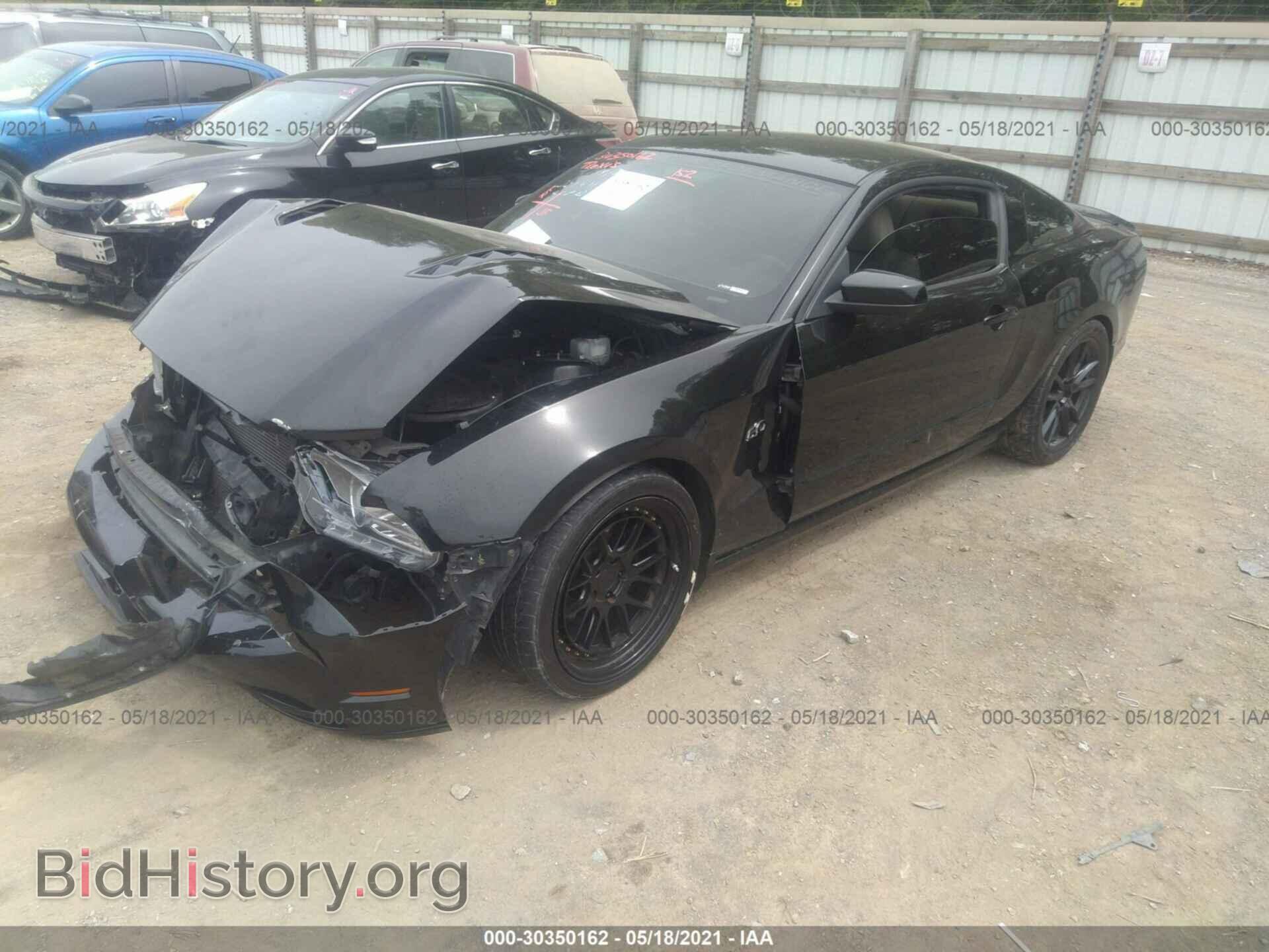 2013 FORD MUSTANG - VIN: 1ZVBP8CF7D5252384 - Фото 2