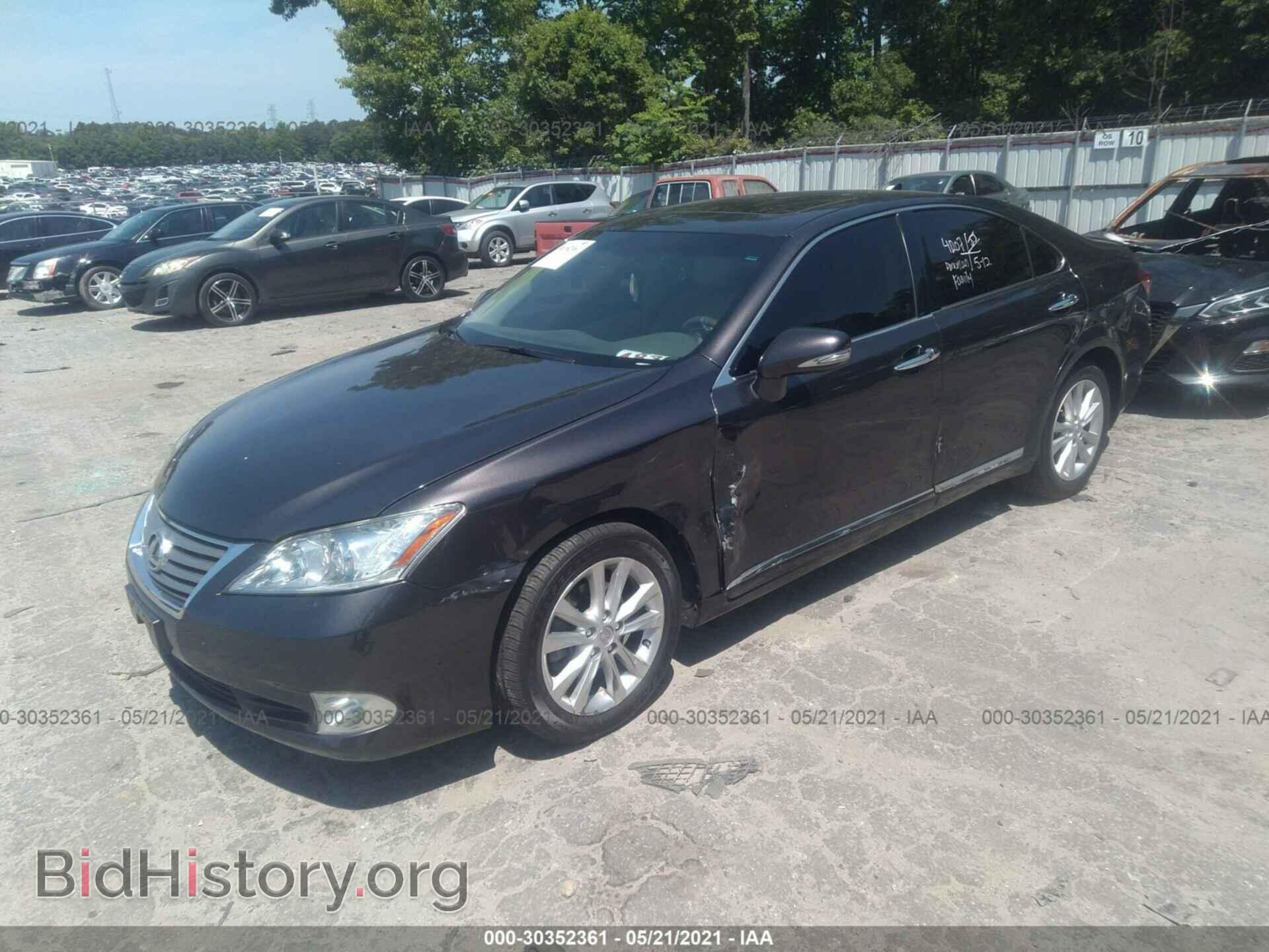 2010 LEXUS ES 350 - VIN: JTHBK1EG3A2400699 - Фото 2