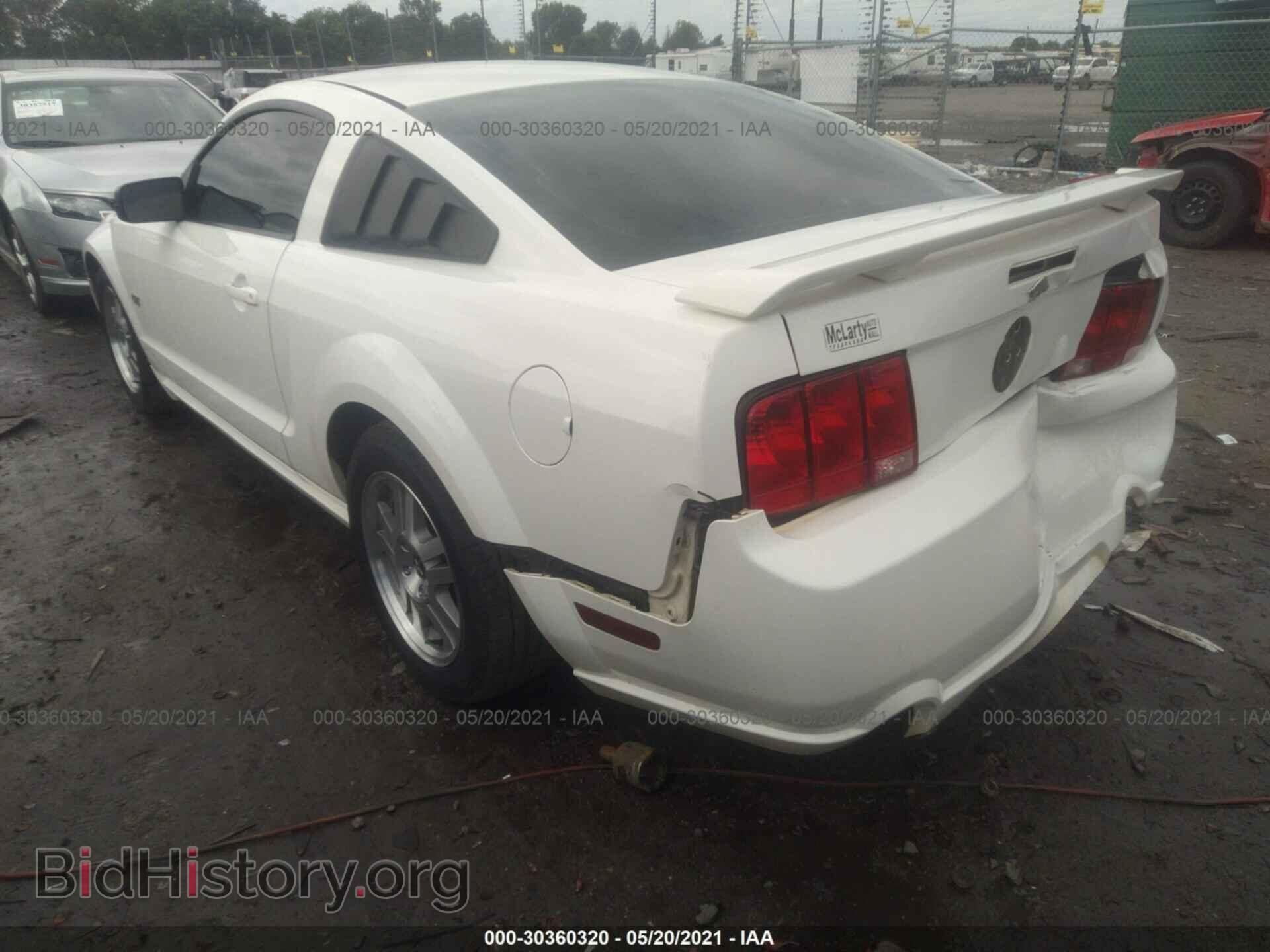2006 FORD MUSTANG - VIN: 1ZVFT82H765113987 - Фото 3