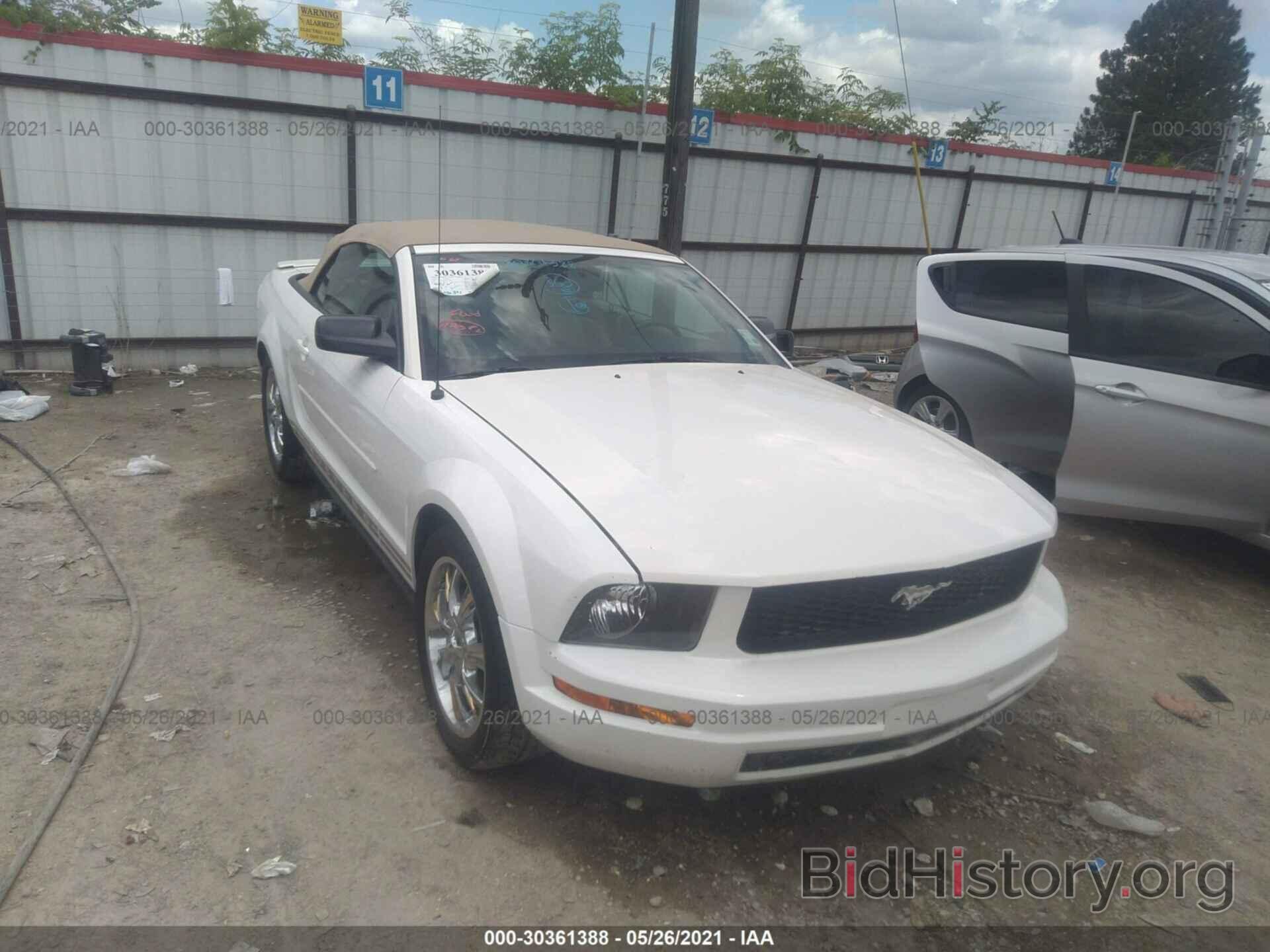 Photo 1ZVFT84N575348943 - FORD MUSTANG 2007