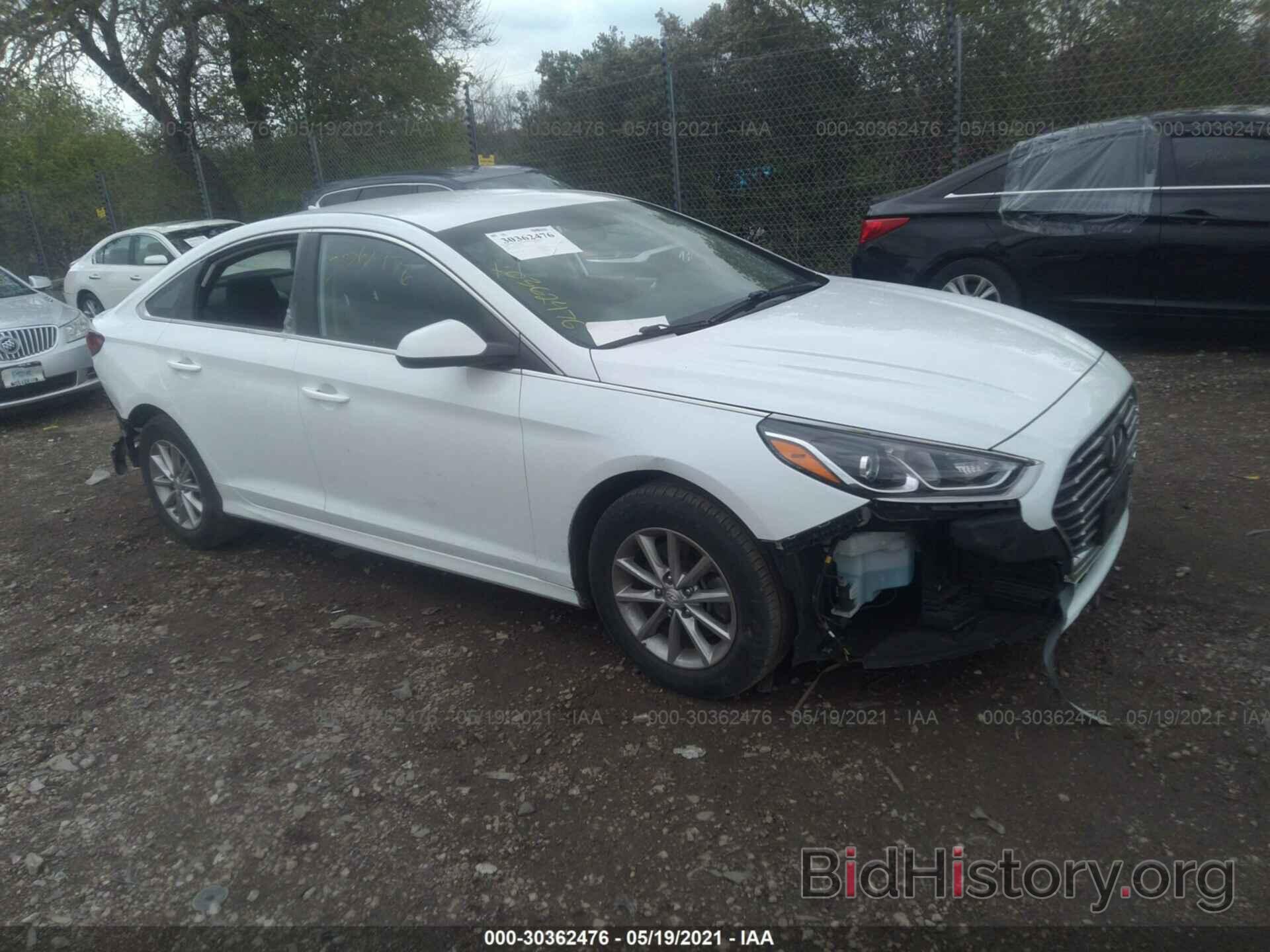 Photo 5NPE24AF6KH729703 - HYUNDAI SONATA 2019