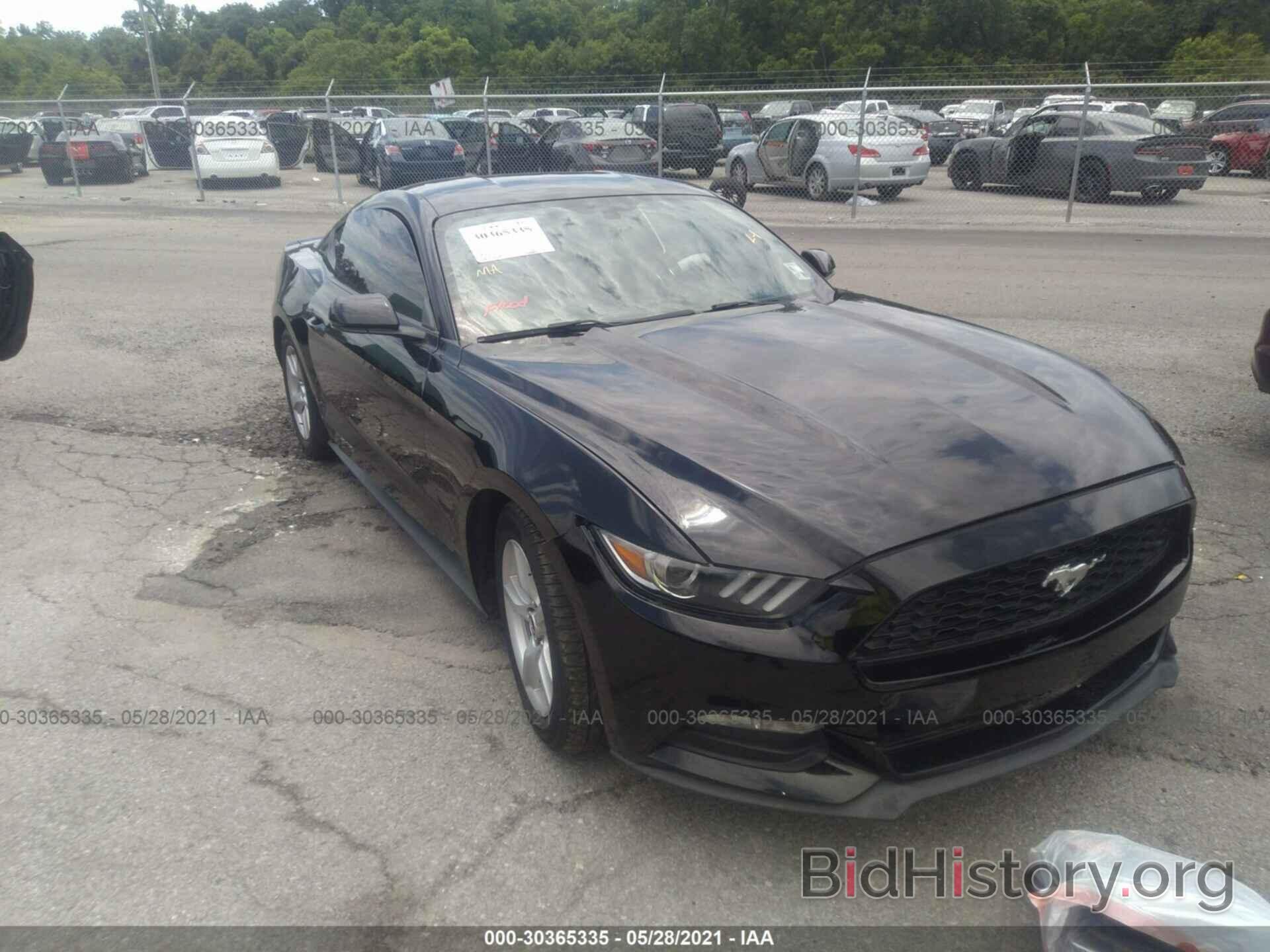 Photo 1FA6P8AM1G5321425 - FORD MUSTANG 2016