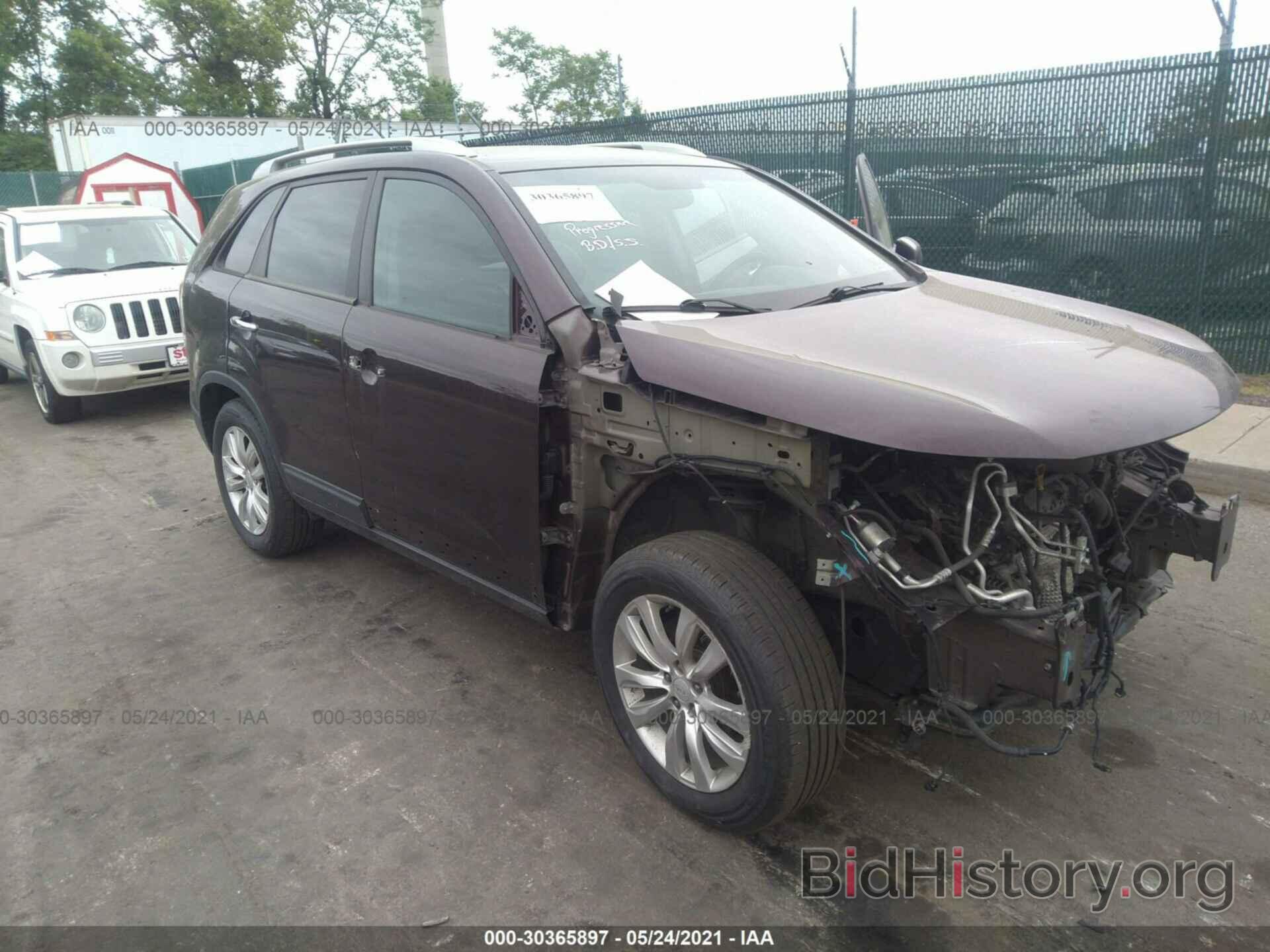 Фотография 5XYKUDA2XBG101385 - KIA SORENTO 2011