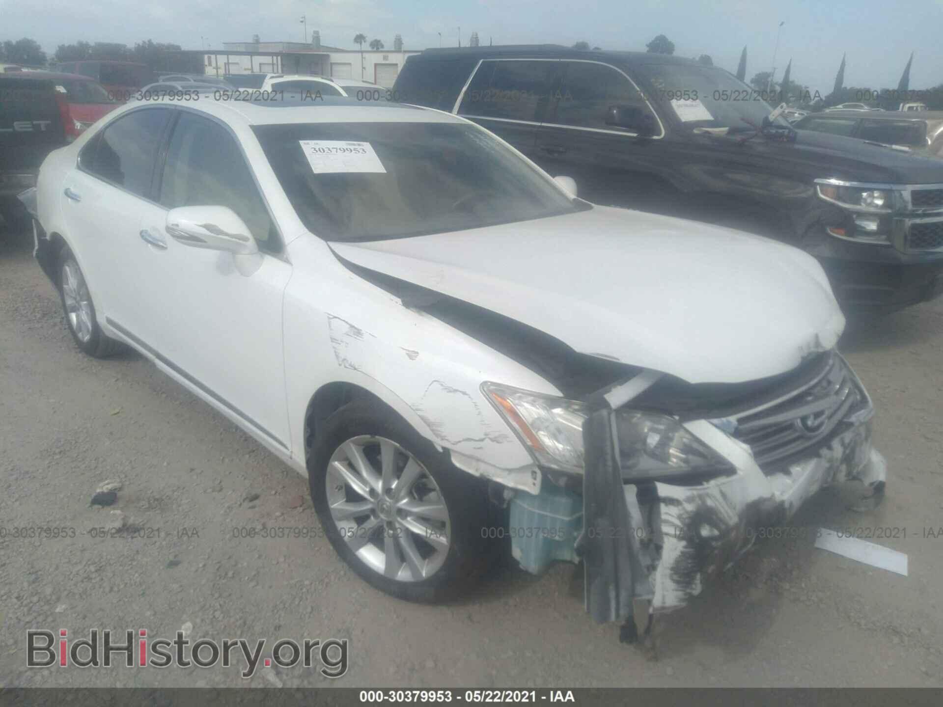 Фотография JTHBK1EG3A2397397 - LEXUS ES 350 2010