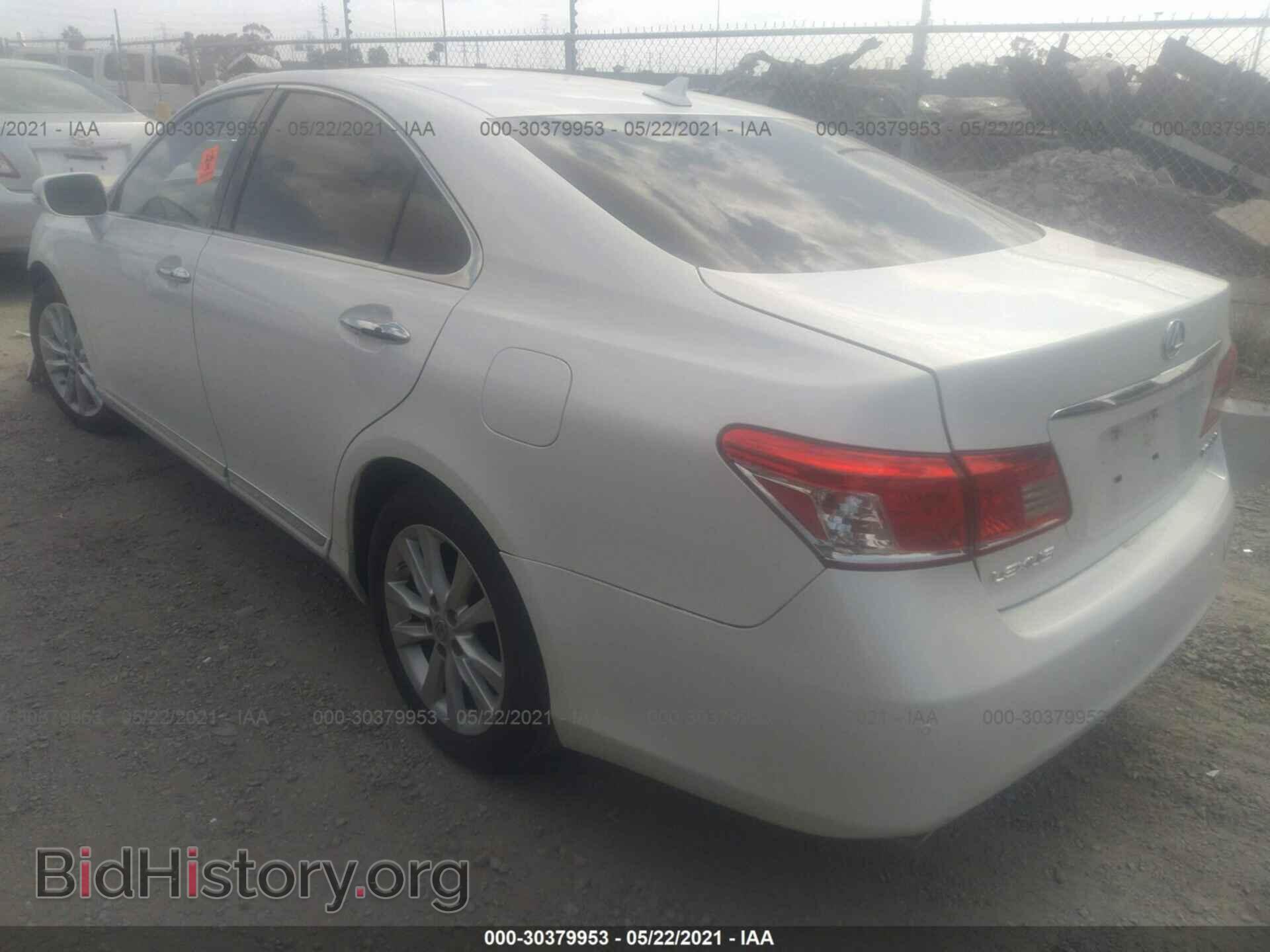 2010 LEXUS ES 350 - VIN: JTHBK1EG3A2397397 - Фото 3