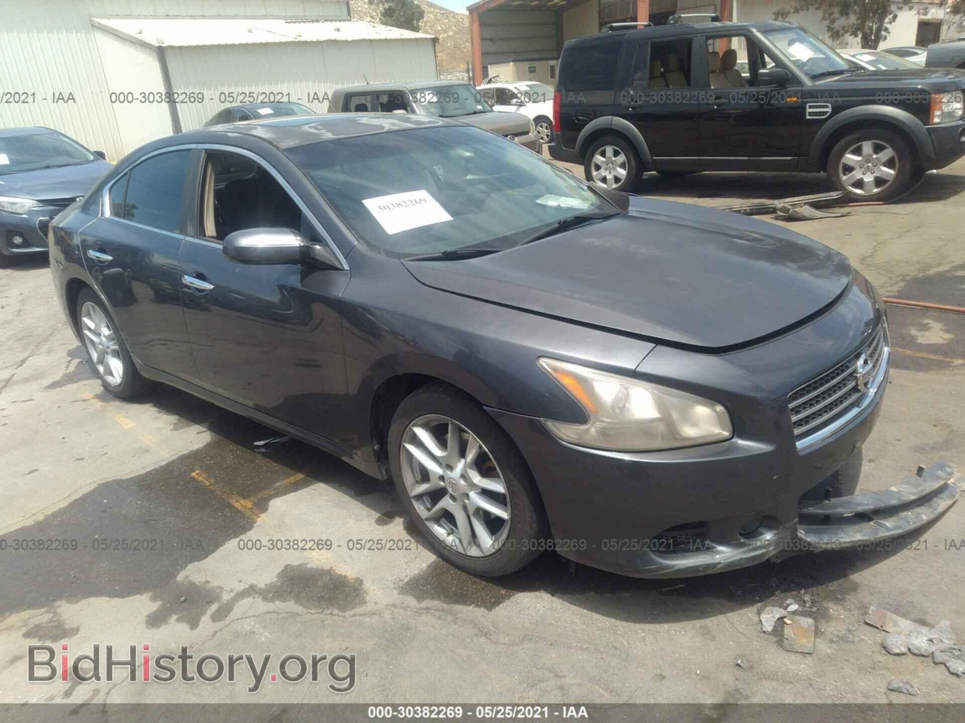Photo 1N4AA5AP5AC807128 - NISSAN MAXIMA 2010