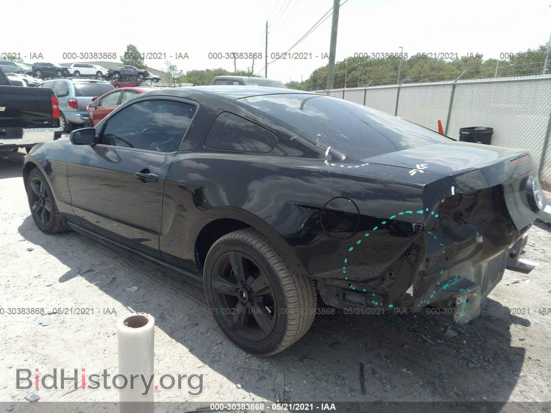 2014 FORD MUSTANG - VIN: 1ZVBP8AM0E5277159 - Фото 3