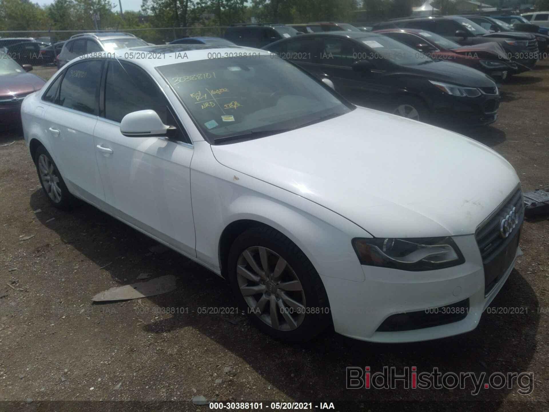 Photo WAUSF78K09N042588 - AUDI A4 2009