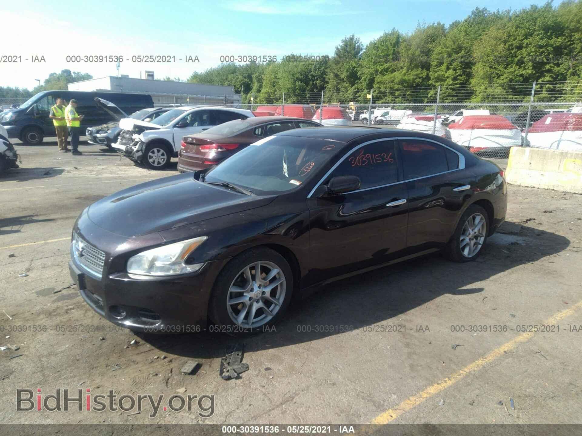 2010 NISSAN MAXIMA - VIN: 1N4AA5AP1AC829952 - Фото 2