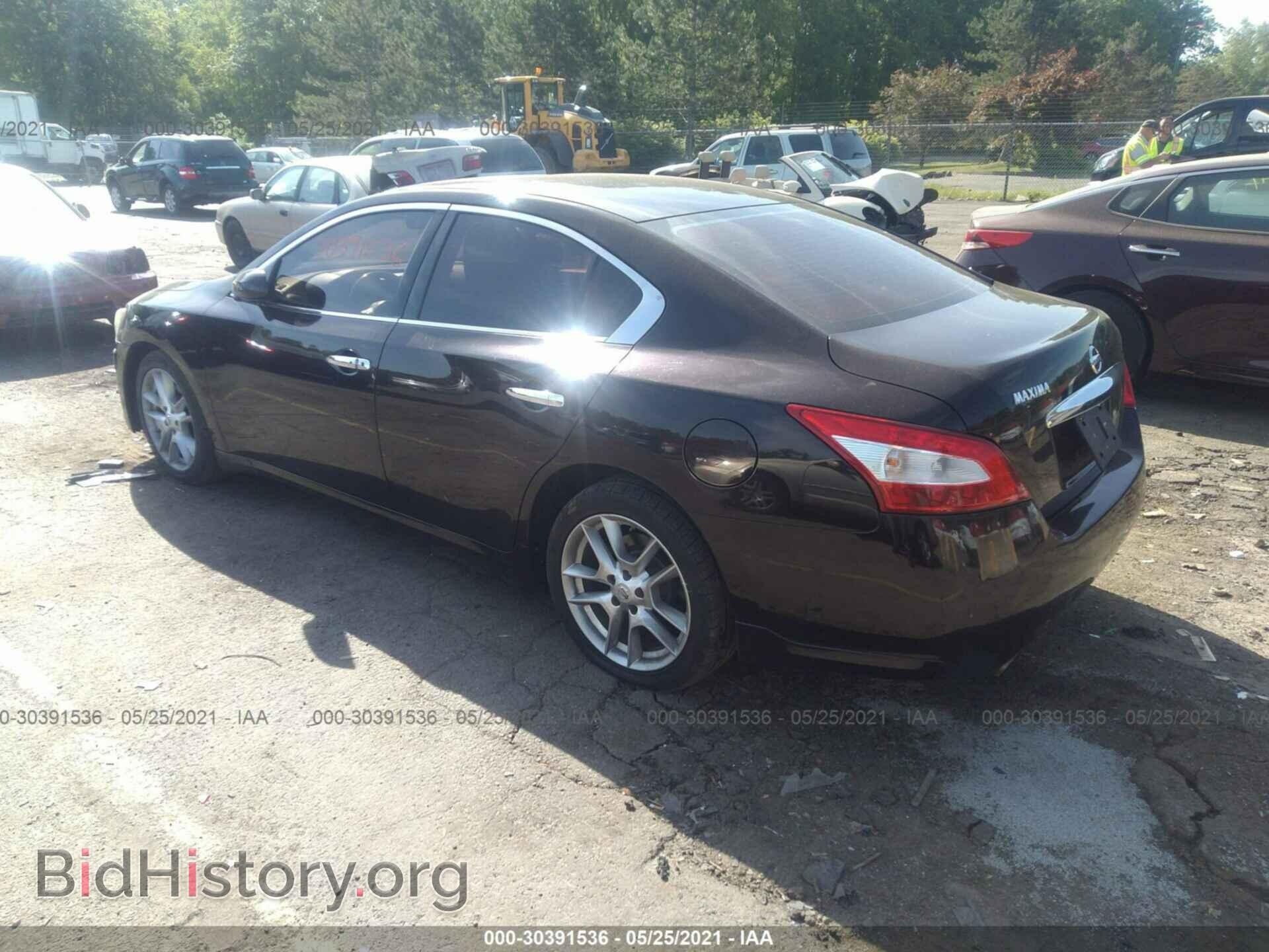 2010 NISSAN MAXIMA - VIN: 1N4AA5AP1AC829952 - Фото 3
