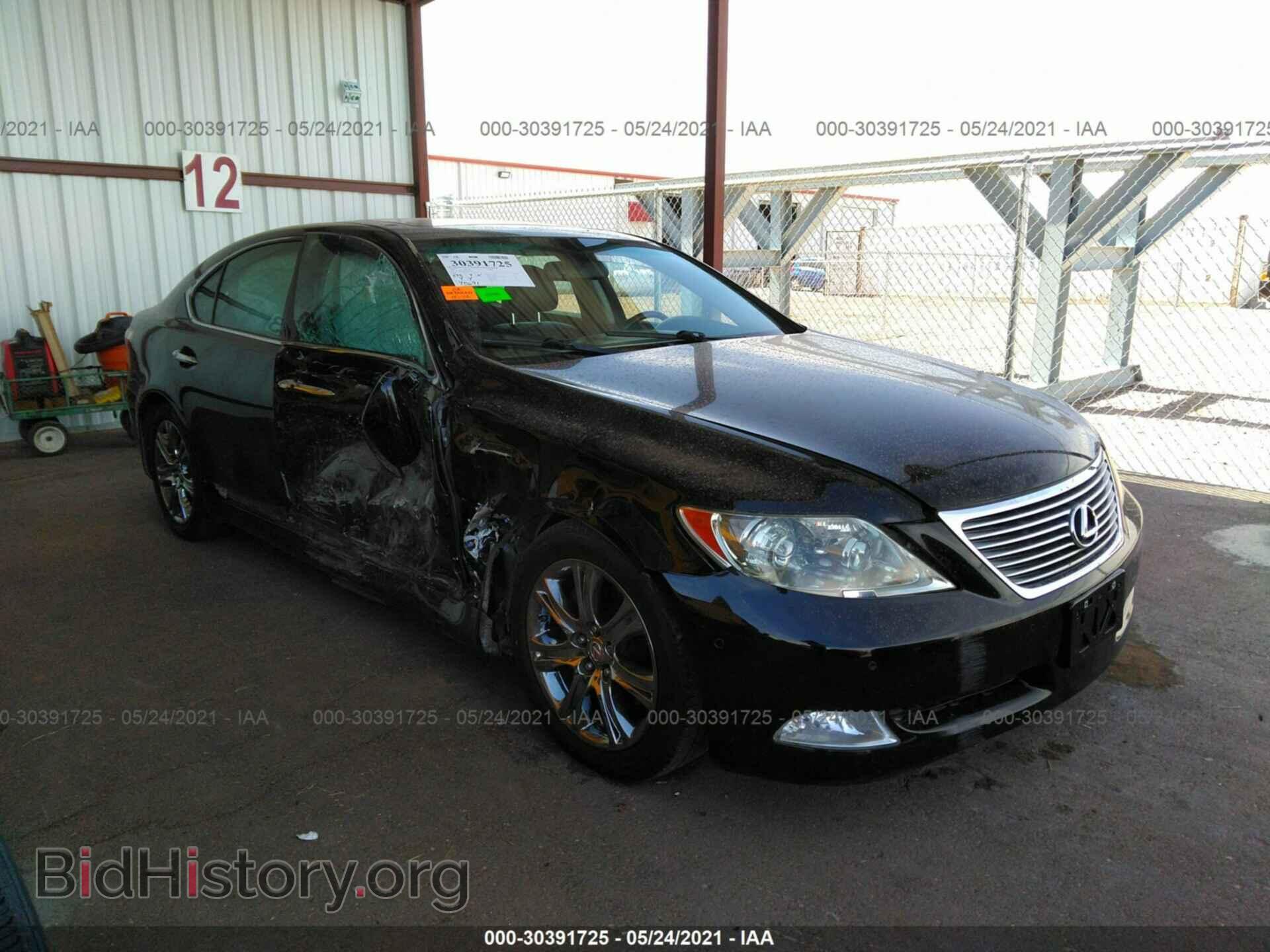 Фотография JTHBL46F185071210 - LEXUS LS 460 2008