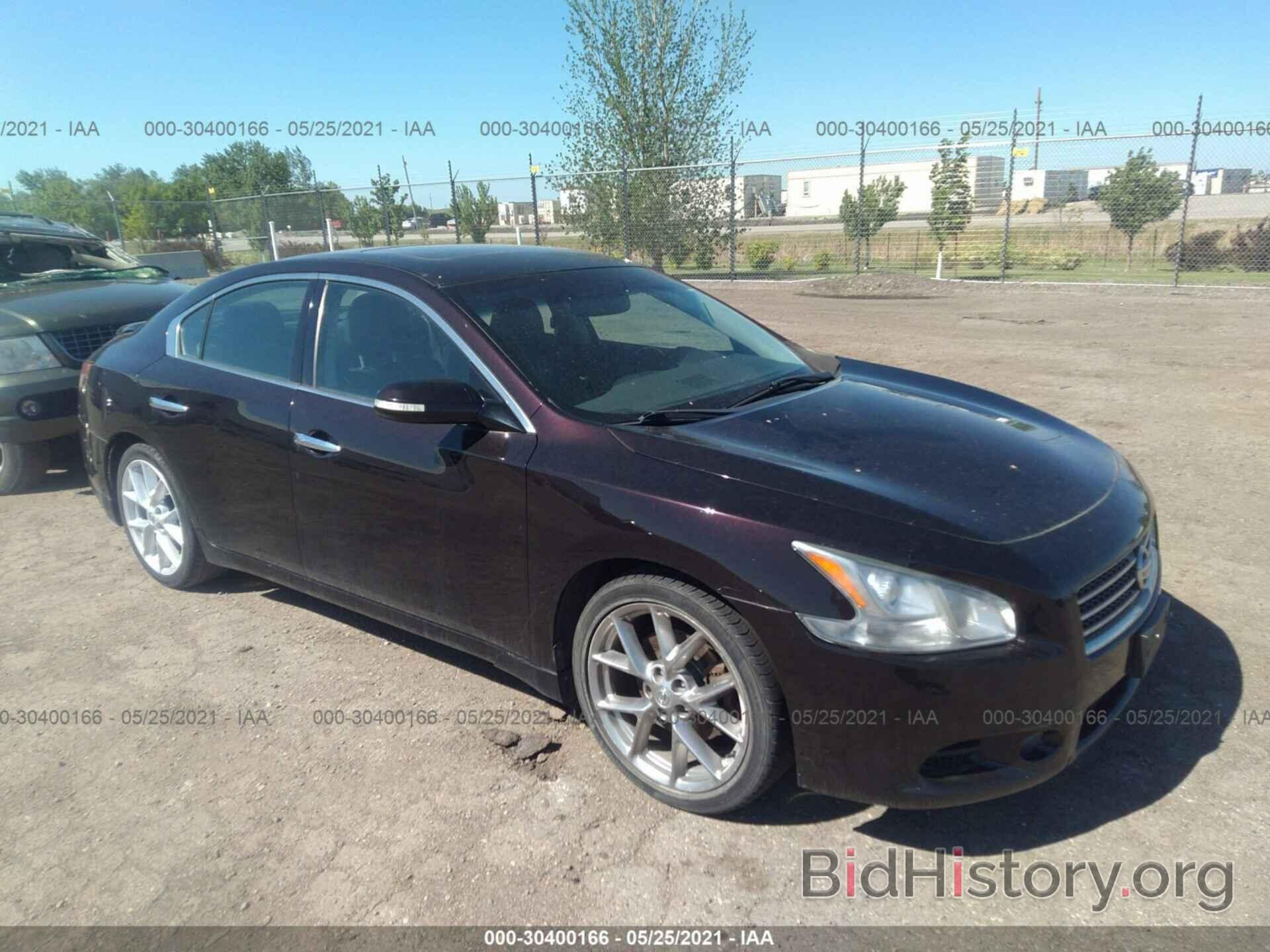 Photo 1N4AA5AP5AC844647 - NISSAN MAXIMA 2010