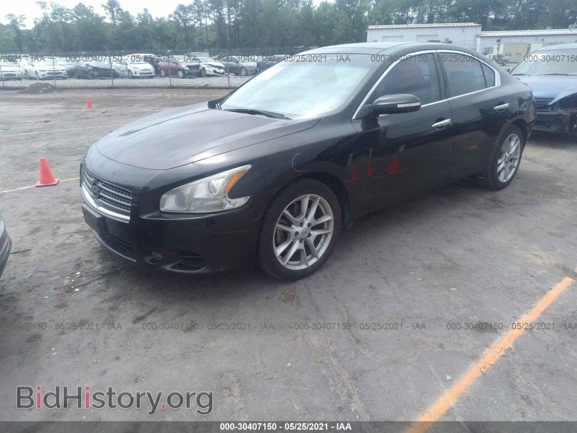 2011 NISSAN MAXIMA - VIN: 1N4AA5APXBC856424 - Фото 2