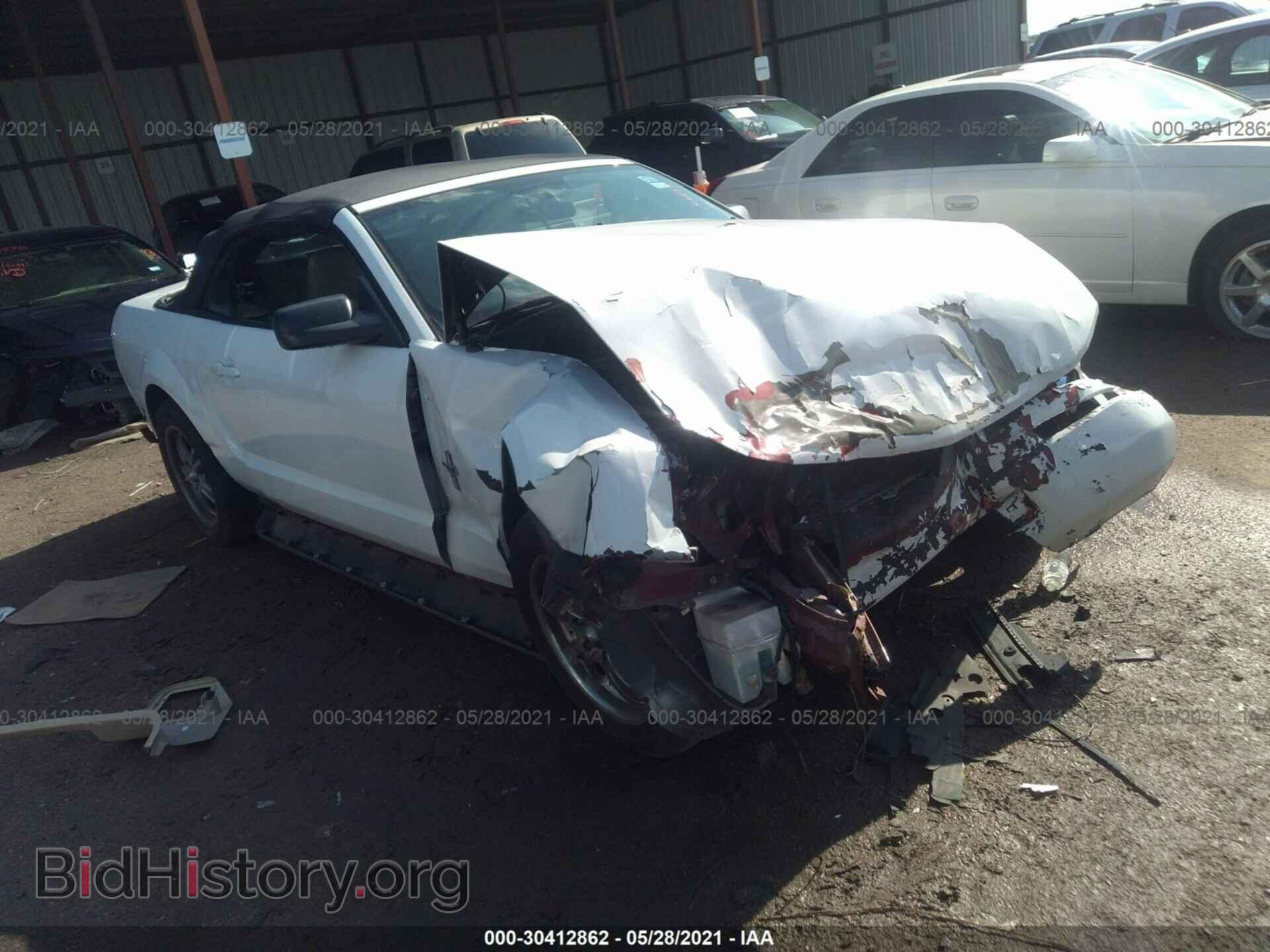 Фотография 1ZVHT84N985178449 - FORD MUSTANG 2008