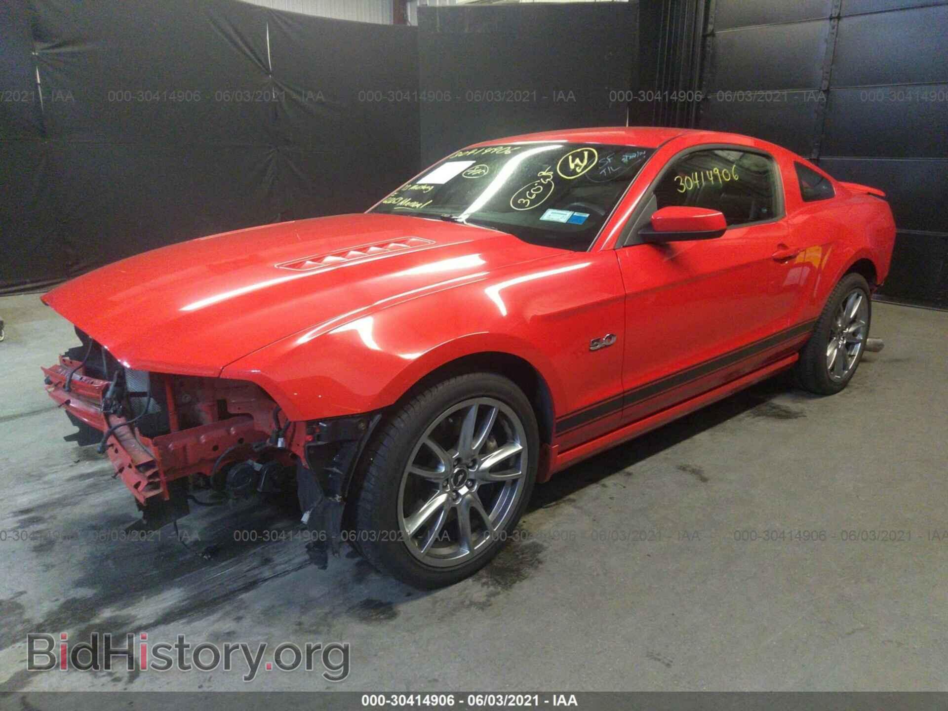 2013 FORD MUSTANG - VIN: 1ZVBP8CF8D5246920 - Фото 2