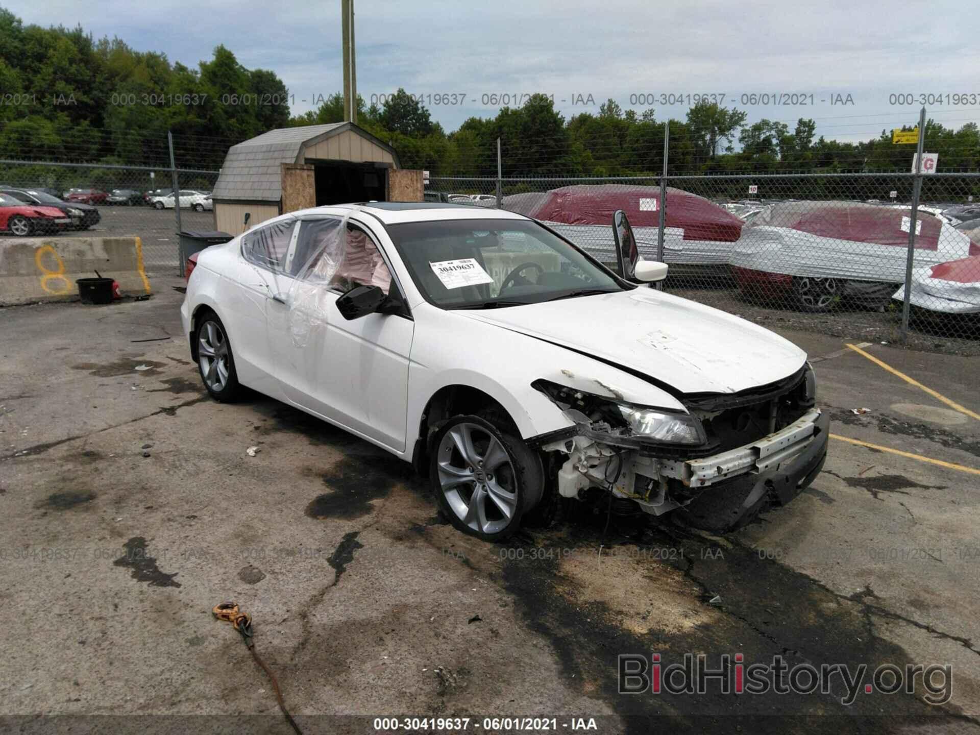 Photo 1HGCS2B81BA003784 - HONDA ACCORD CPE 2011