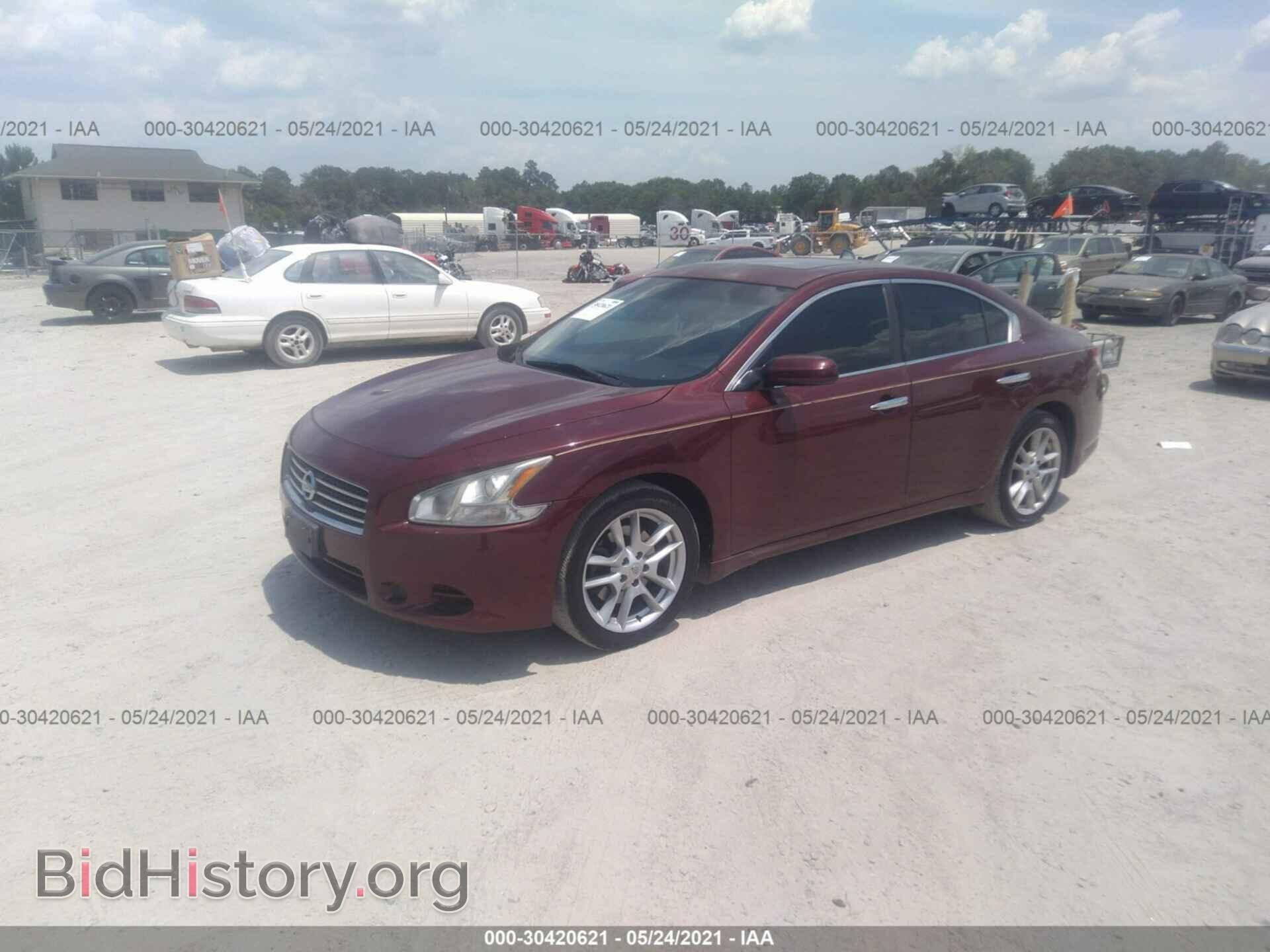 2011 NISSAN MAXIMA - VIN: 1N4AA5AP5BC811598 - Фото 2