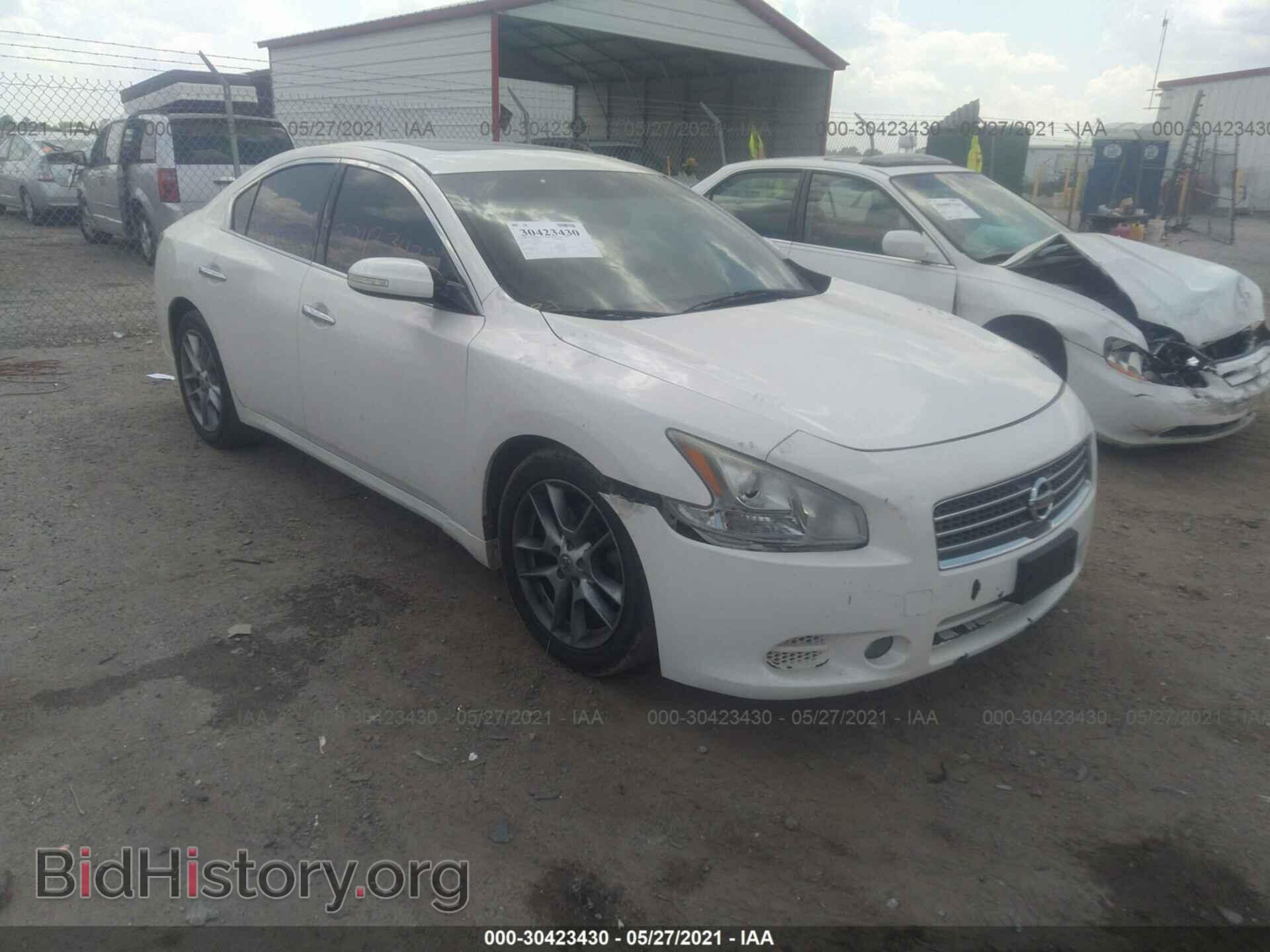 Photo 1N4AA5AP1AC847982 - NISSAN MAXIMA 2010