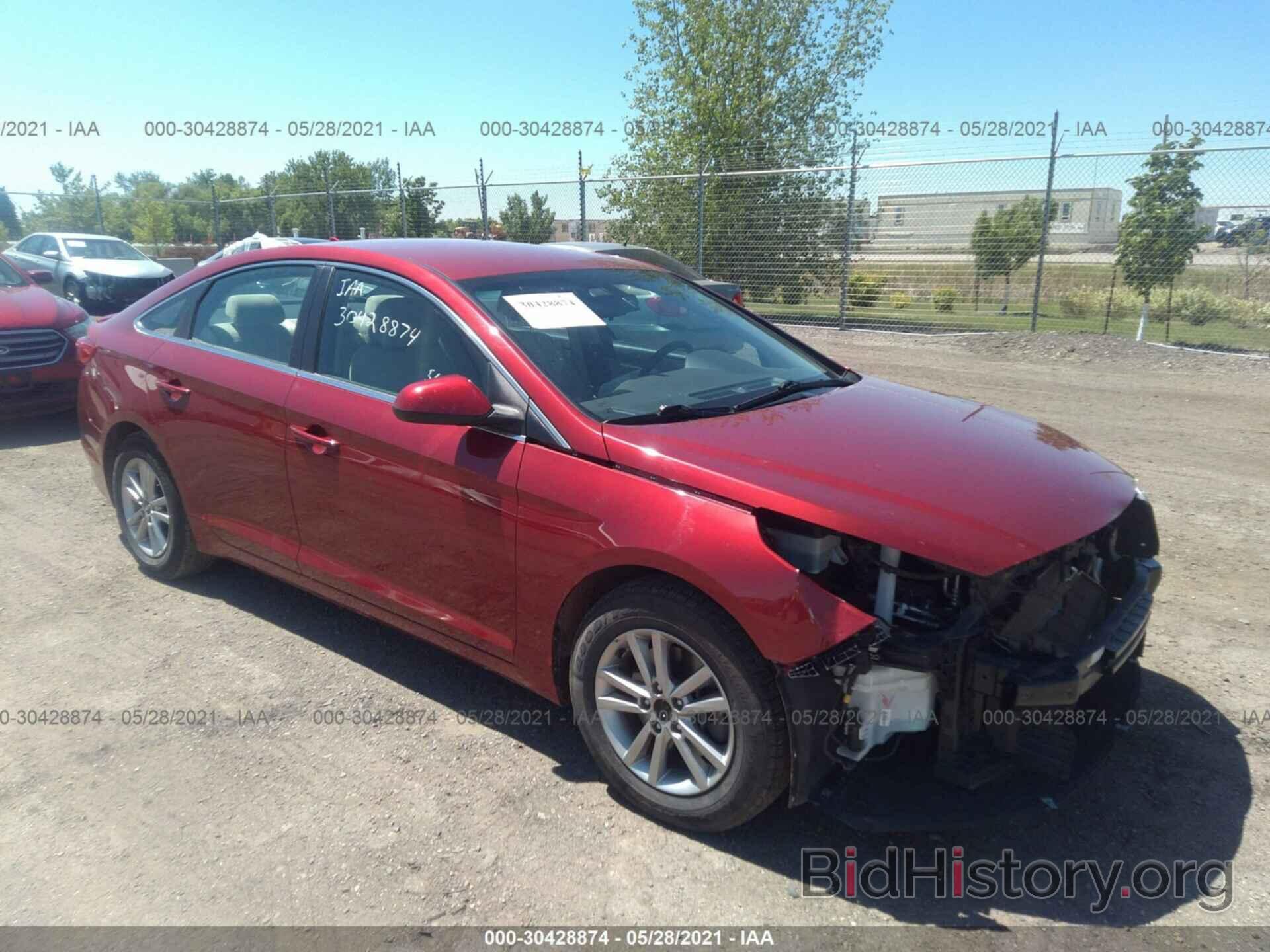 Photo 5NPE24AFXGH290979 - HYUNDAI SONATA 2016