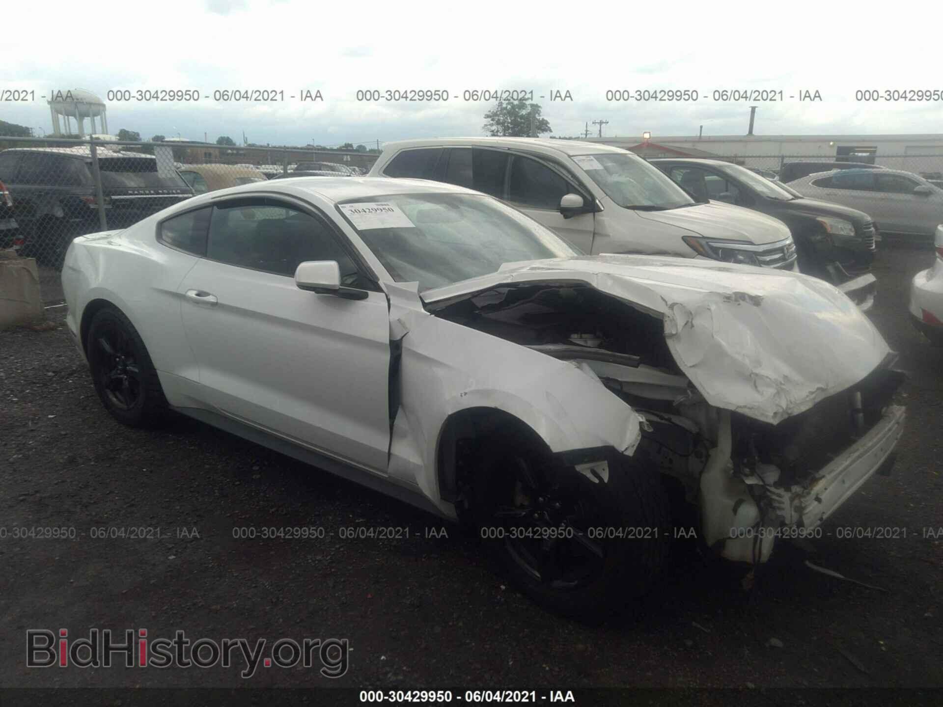 Photo 1FA6P8AM8H5234316 - FORD MUSTANG 2017