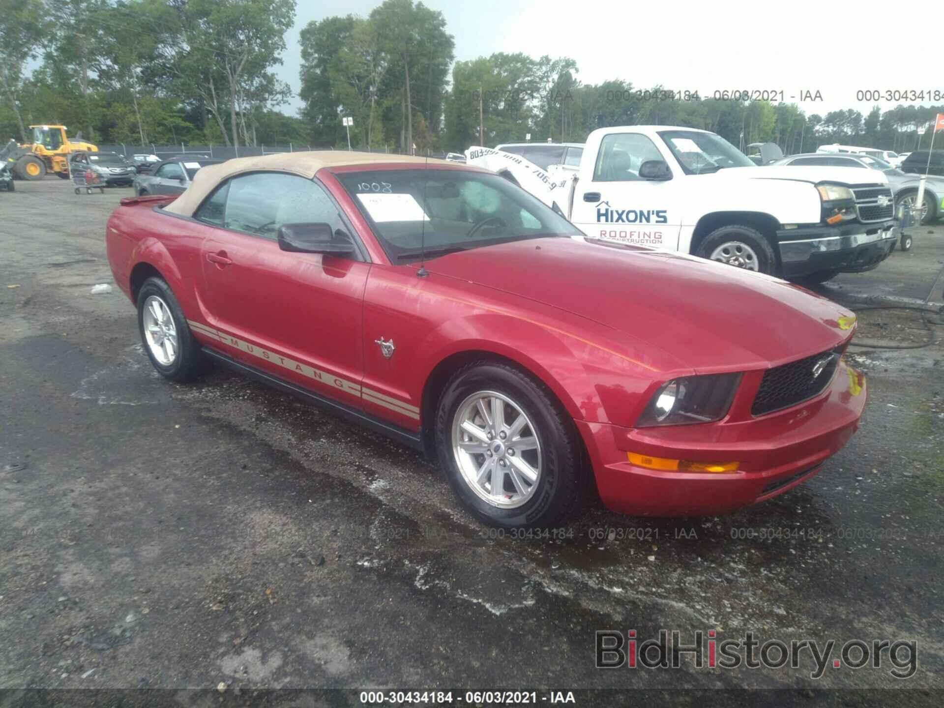 Photo 1ZVHT84N095112860 - FORD MUSTANG 2009