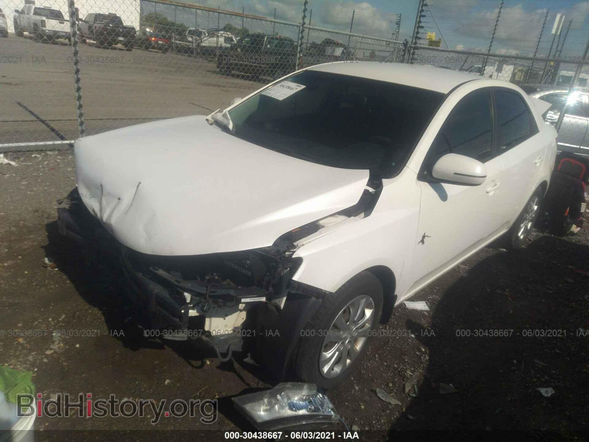 2013 KIA FORTE - VIN: KNAFU4A22D5732769 - Фото 2