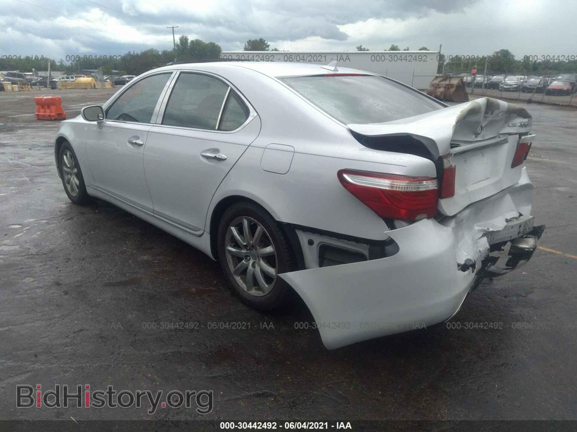 2008 LEXUS LS 460 - VIN: JTHBL46F685065189 - Фото 3