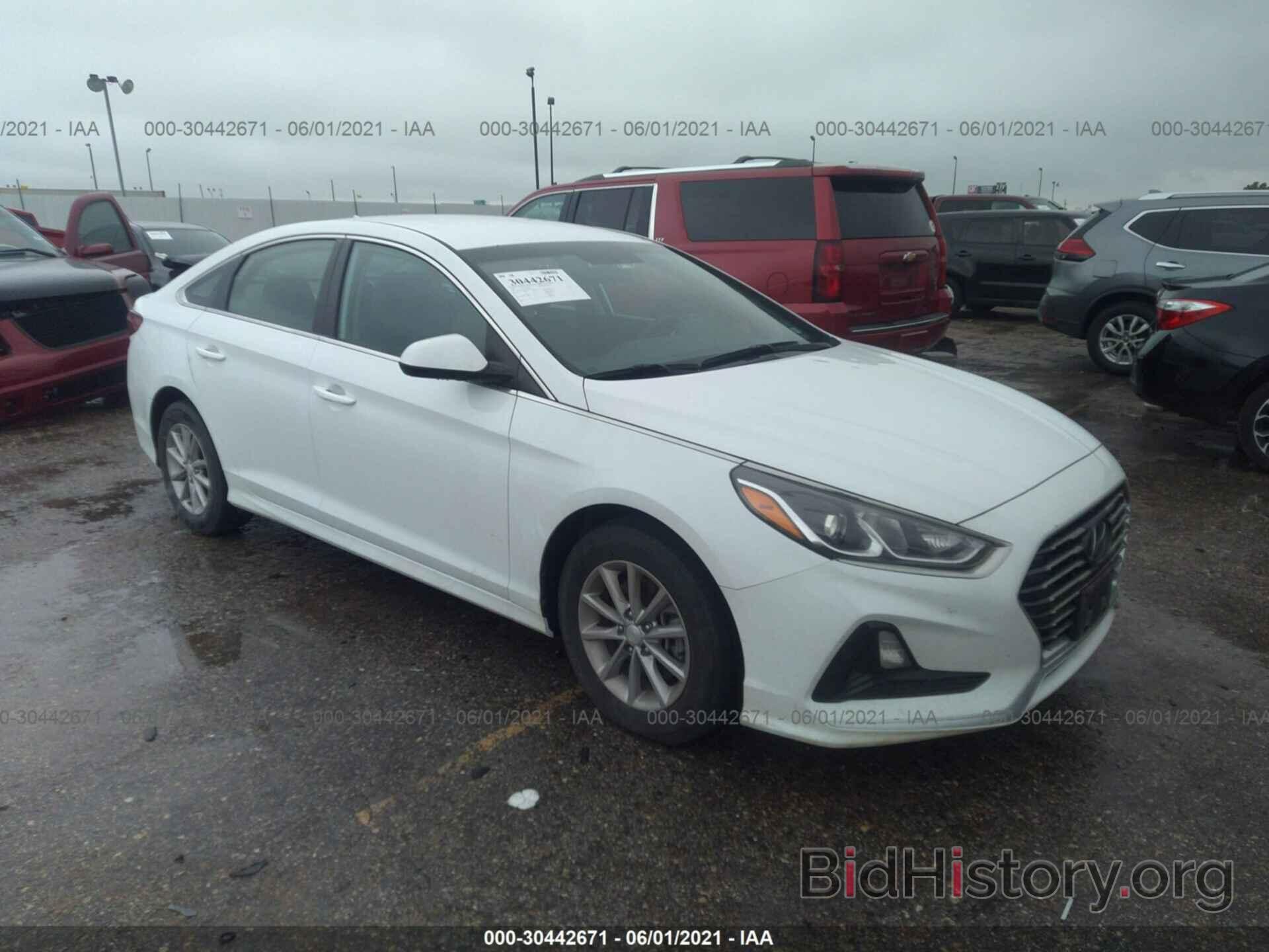 Photo 5NPE24AF6KH739972 - HYUNDAI SONATA 2019