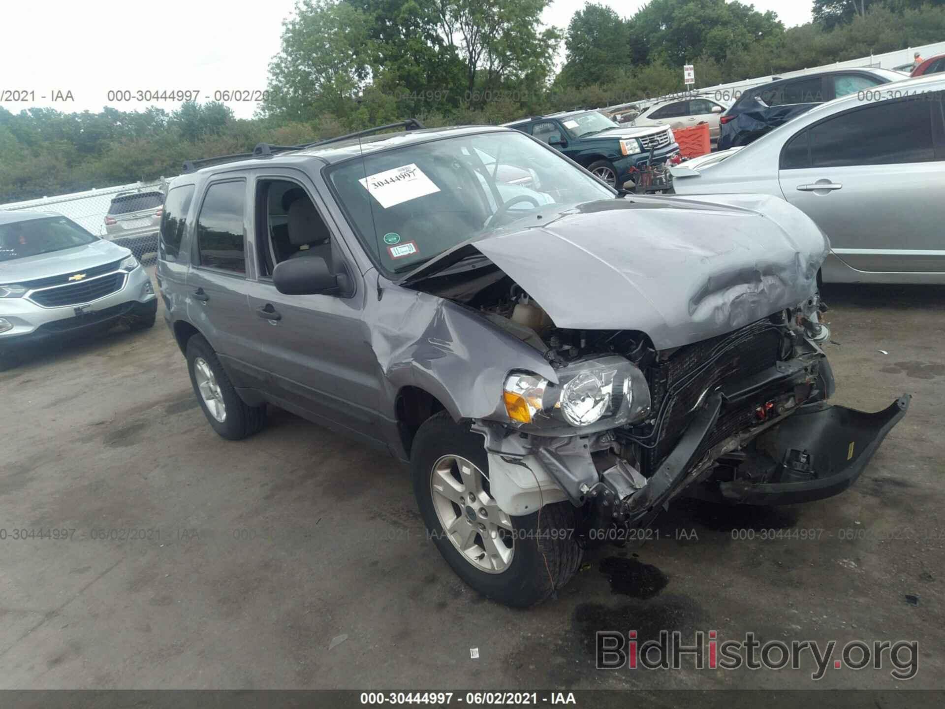 Photo 1FMYU03Z07KB88627 - FORD ESCAPE 2007