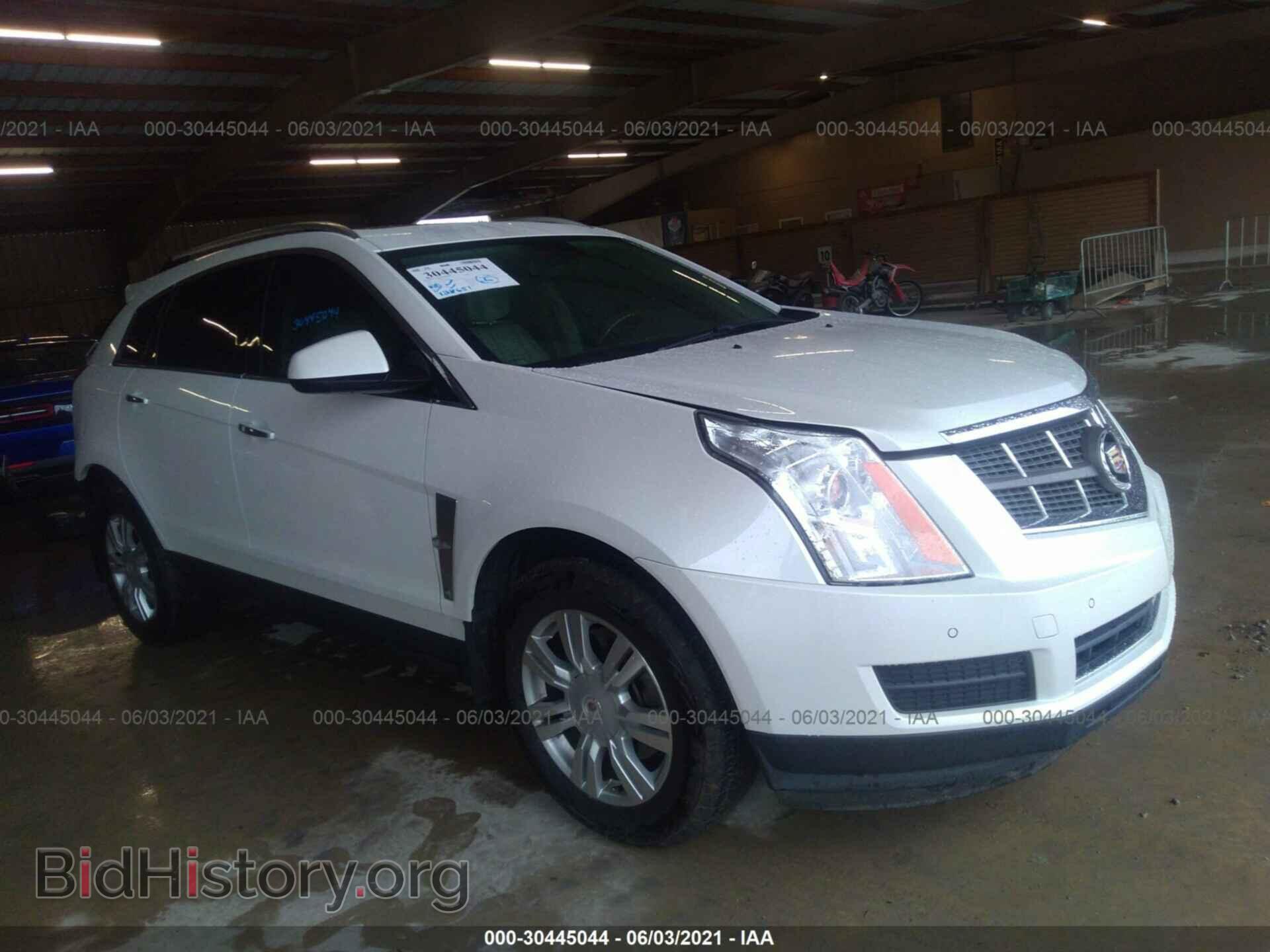 Photo 3GYFNAEY1BS559207 - CADILLAC SRX 2011