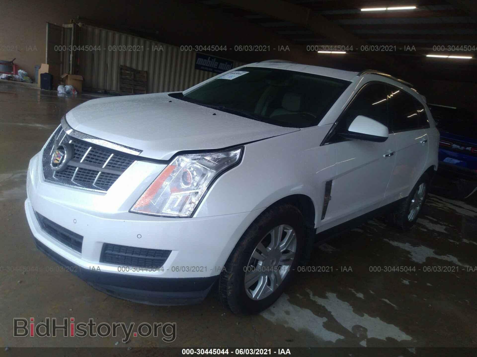 2011 CADILLAC SRX - VIN: 3GYFNAEY1BS559207 - Фото 2