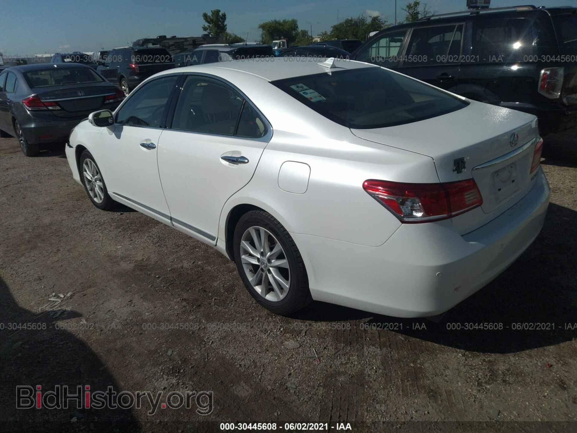 2011 LEXUS ES 350 - VIN: JTHBK1EGXB2456768 - Фото 3