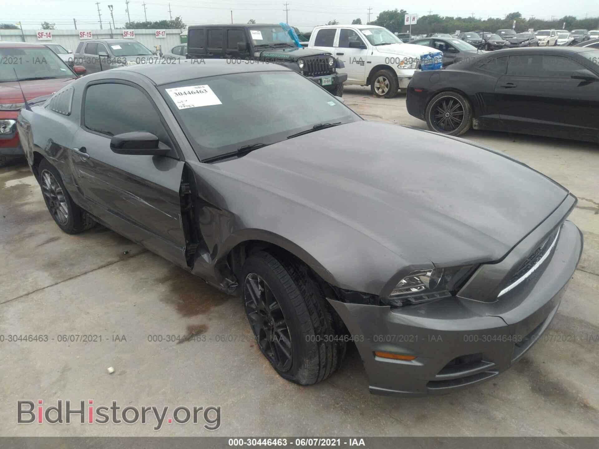 Фотография 1ZVBP8AM3E5313474 - FORD MUSTANG 2014